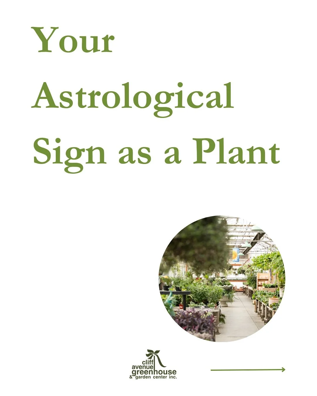 Your sign as a plant! Just for fun of course ✨😌
Psst&hellip;pick up your plant at either of our stores!