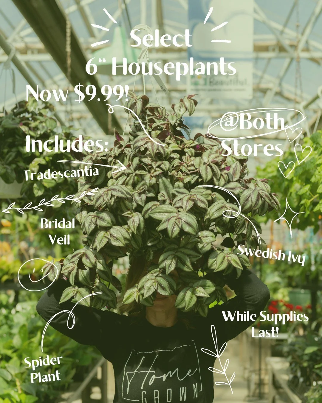 January calls for a refresh! When you purchase any of these select 6" houseplants, you can earn Garden Rewards stamps! Only @ both stores while supplies last!