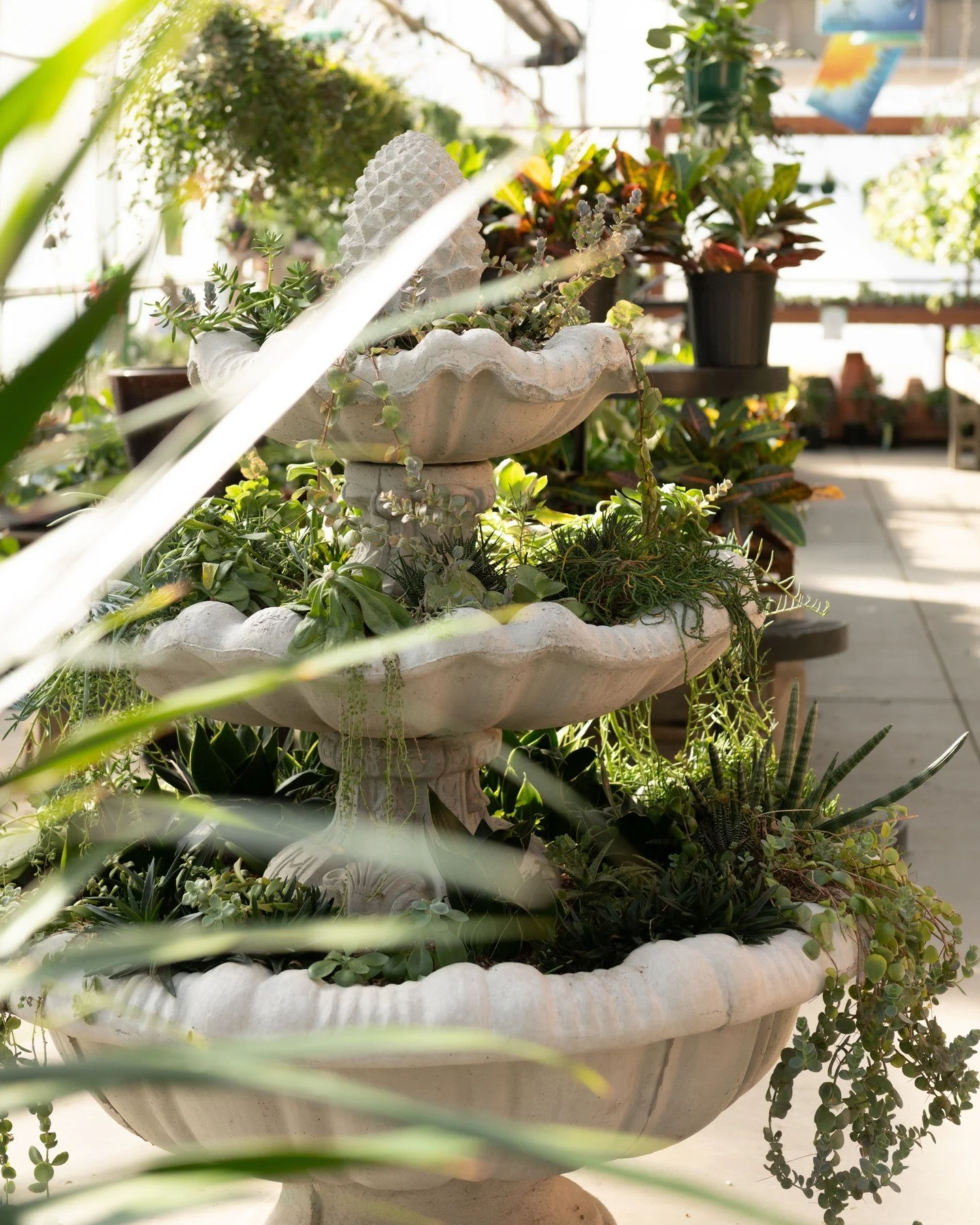 We did it! We made it through January! Only 37 days until Daylight Savings!! 🪴 🌱 🌞