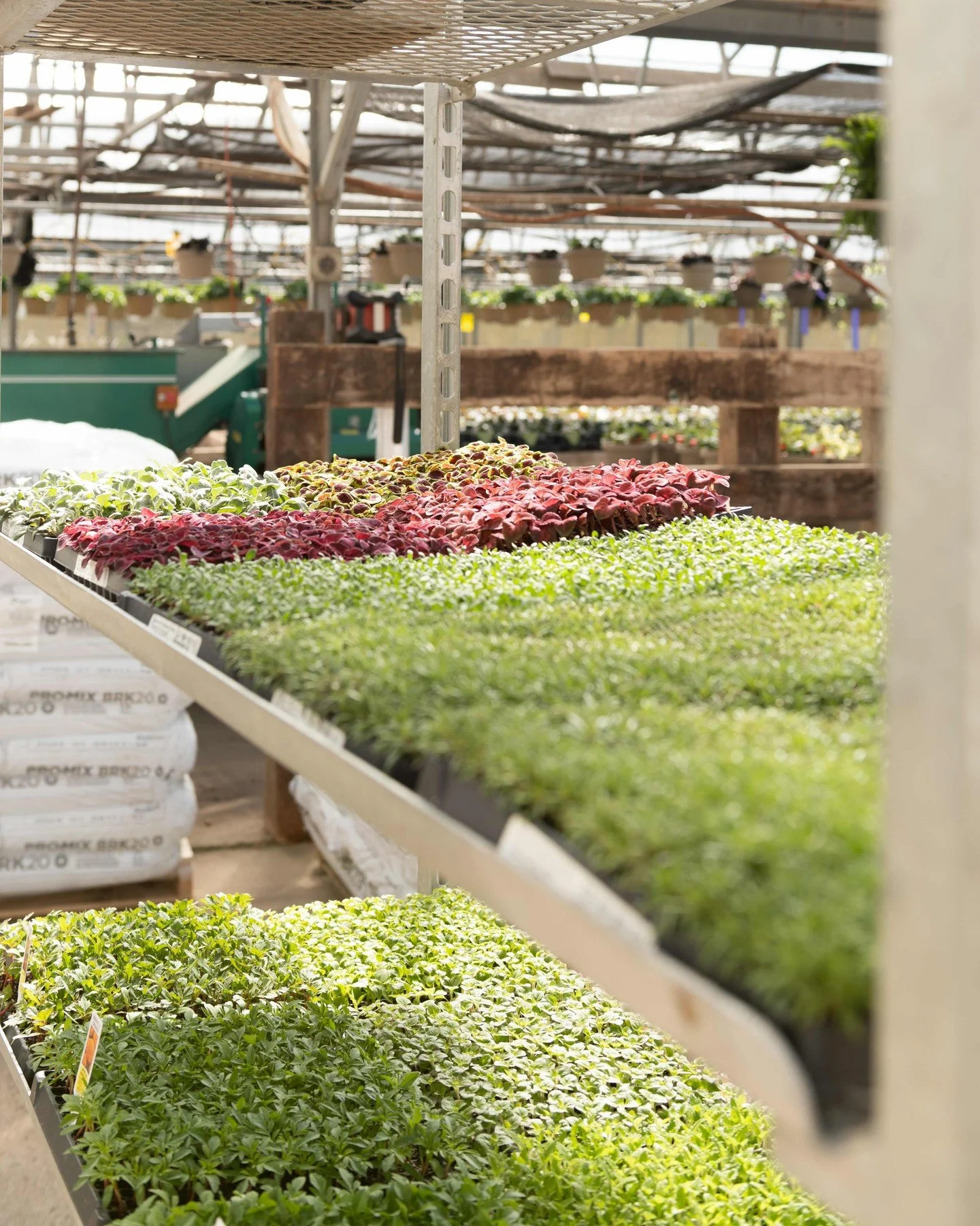 Are you ready for Spring BINGO?! 🌱 4-6PM, ONLY @ 26th street, this Saturday, March 14th 🌸
20 Spots left! Call our 26th street store to reserve your spot! 605-332-6641
Head to the link in our bio for more info!