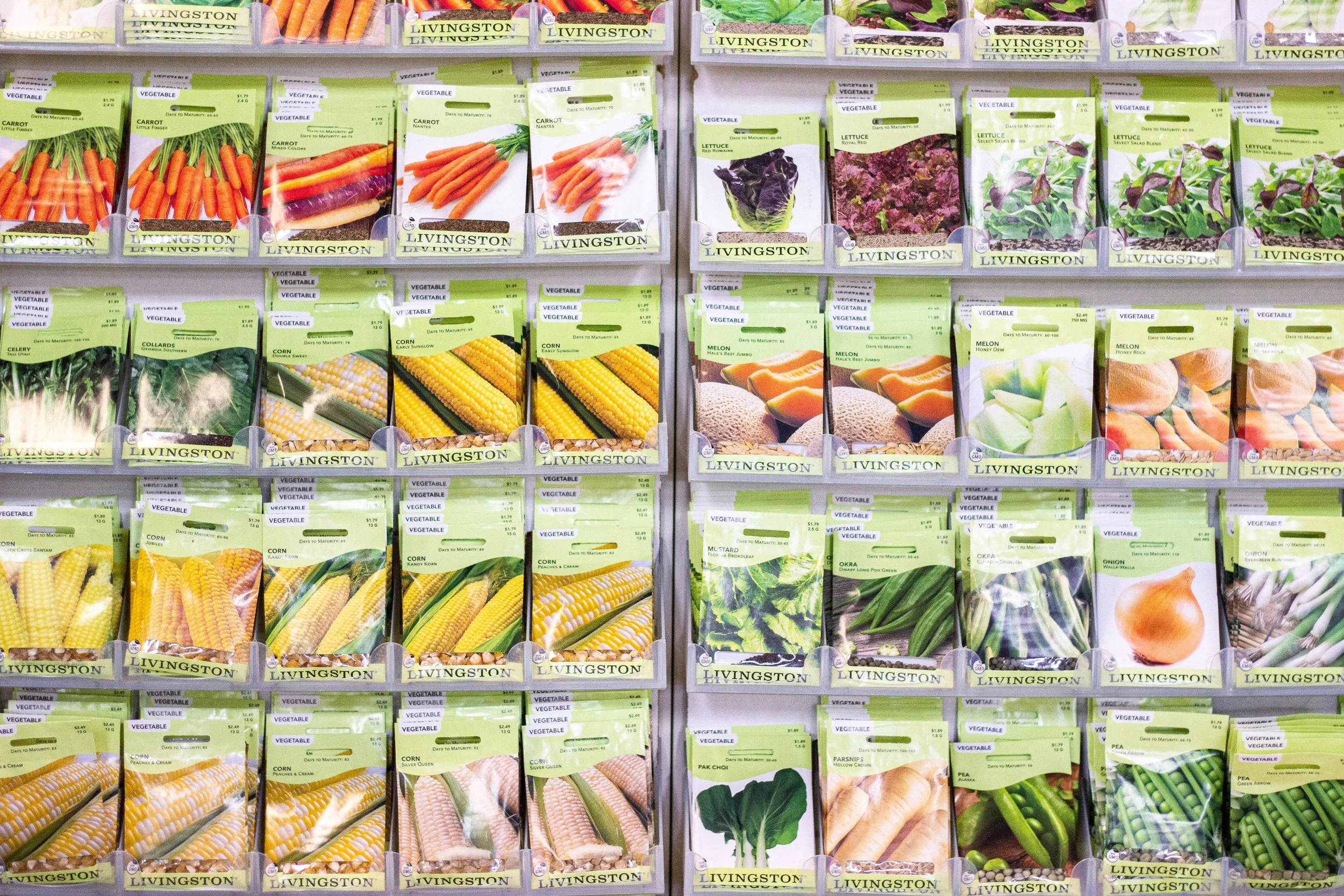 Planning Your Vegetable Garden 
