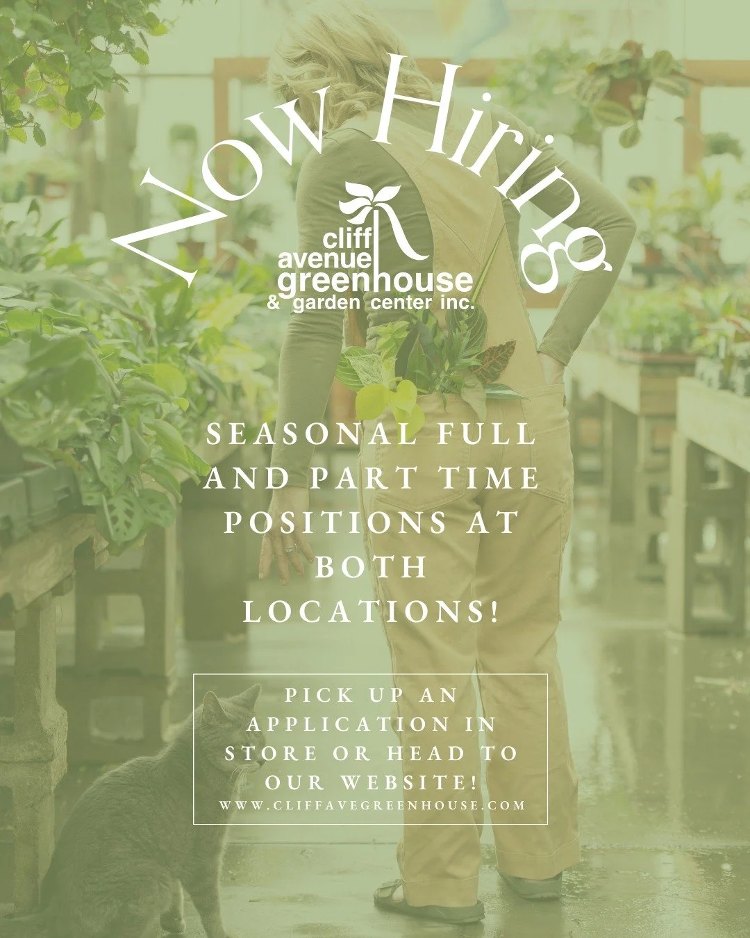 Head to the link in our bio to apply!