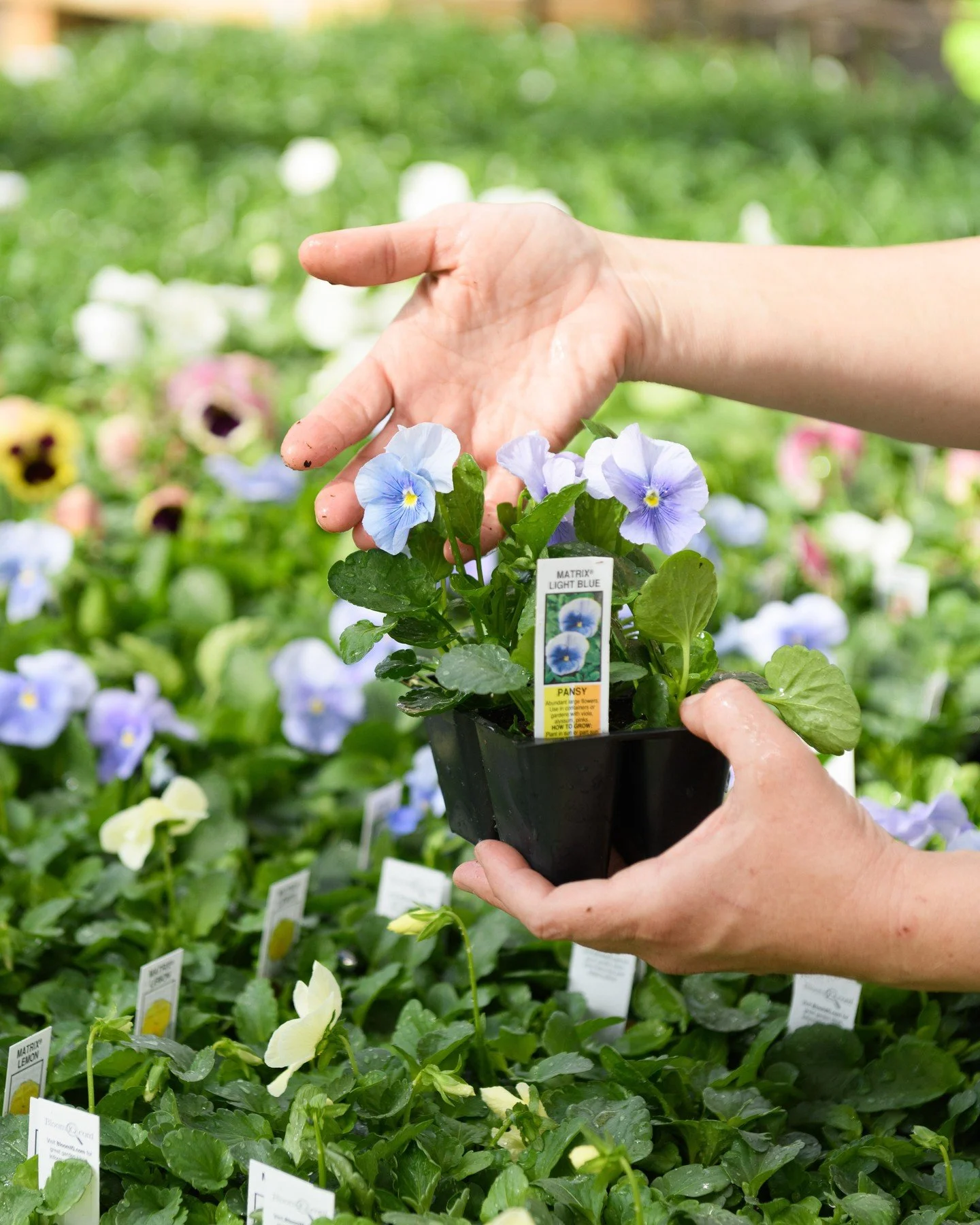 Adding some color to your feed today! ✨