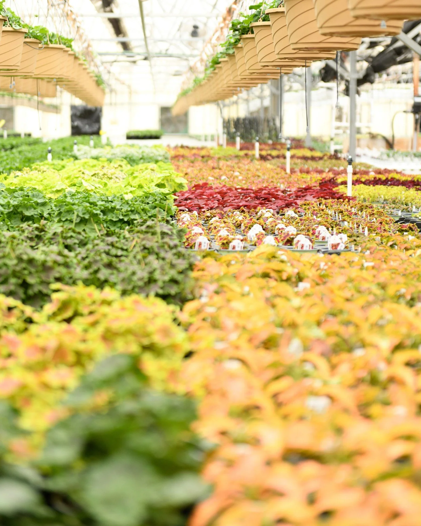 It's the most wonderful time of the year...happy April! 🌱✨🥳