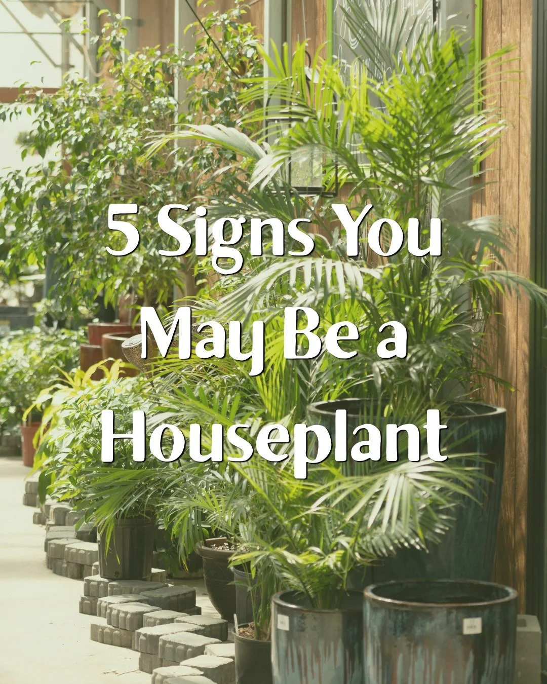 We get it. Come grow with us🌱