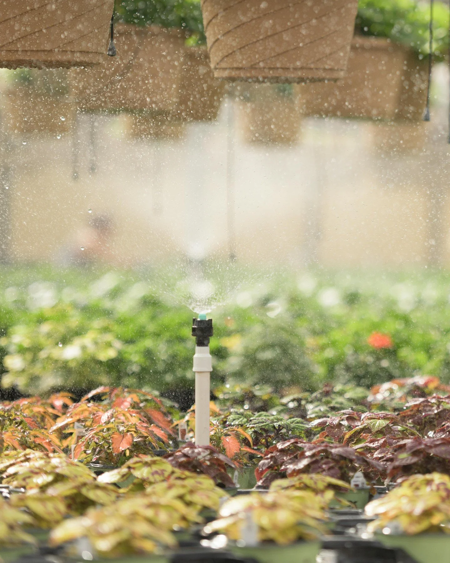 Wishing for warmer days🌞