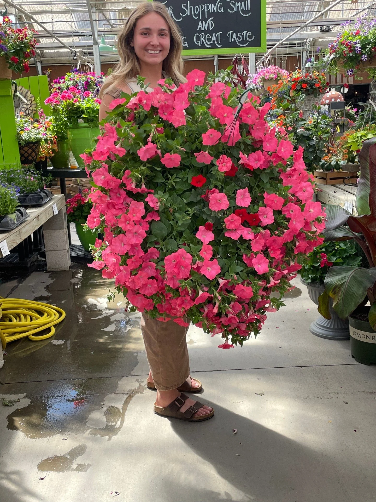 Our Wave Petunia Baskets are in full bloom! 🌸 And for context, @aubreyygates is 5'11 🤩🤯