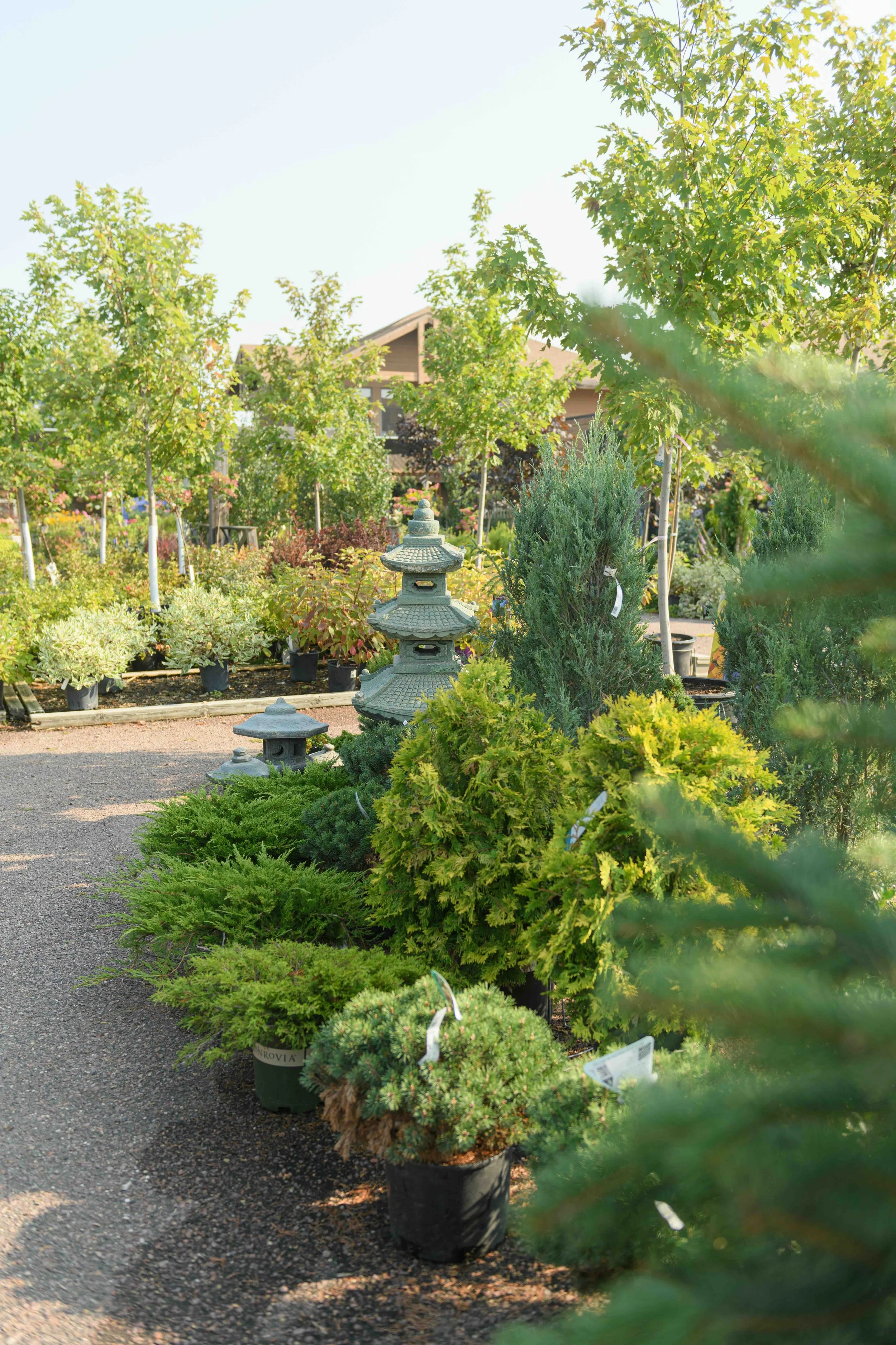 Father's Day Gifts for Every Kind of Dad at Cliff Avenue Greenhouse &amp; Garden Center