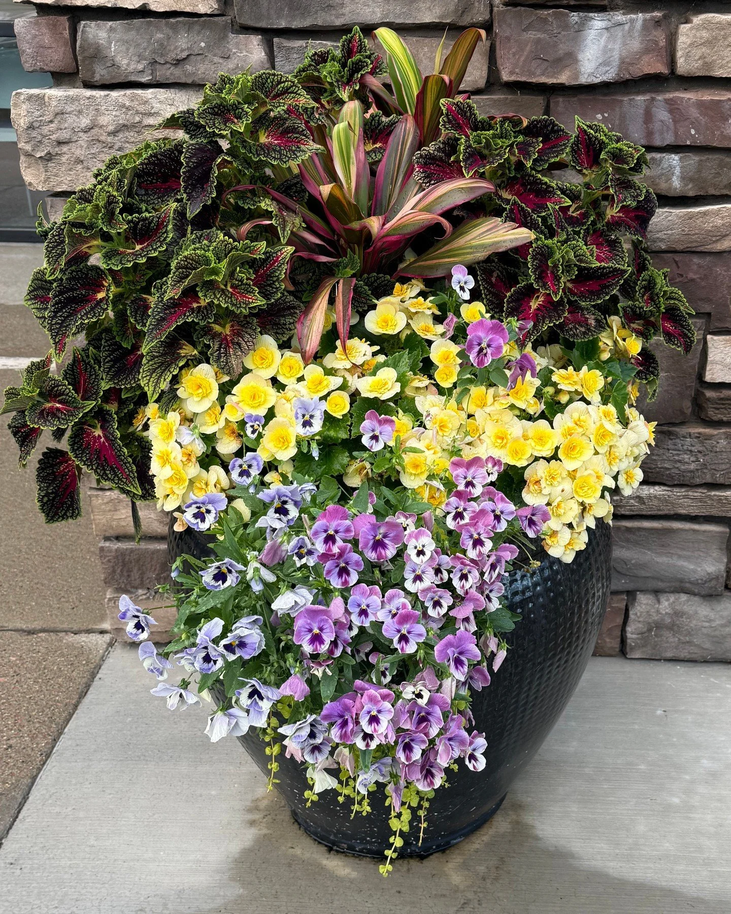 Our custom pots that we made for @thebridgesat57th are ✨thriving✨ ! Check them out for yourself!