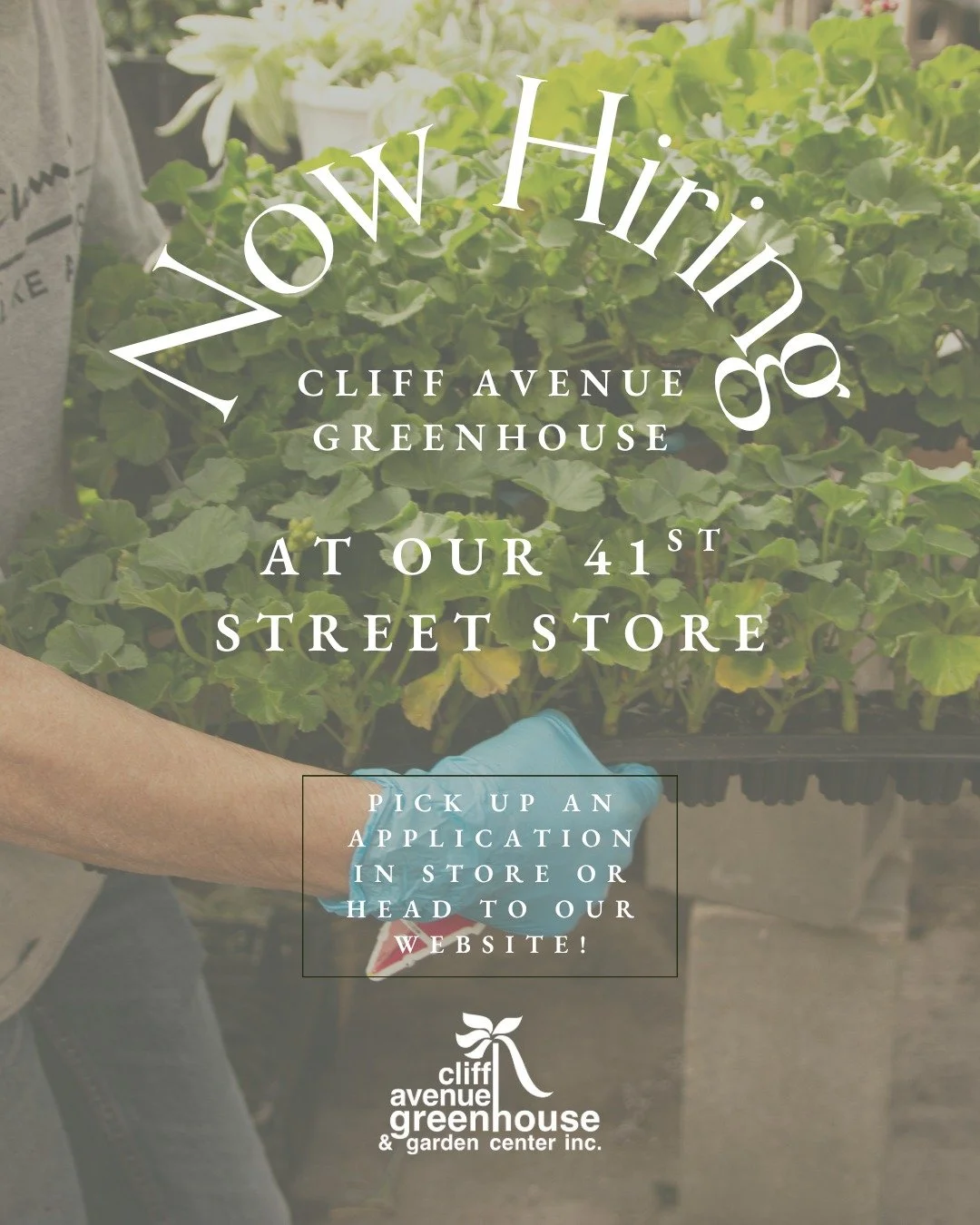 Here's your sign to finally get paid to work with plants! We're hiring at our 41st street store🌸 Head to the link in our bio for more details and to apply 😍