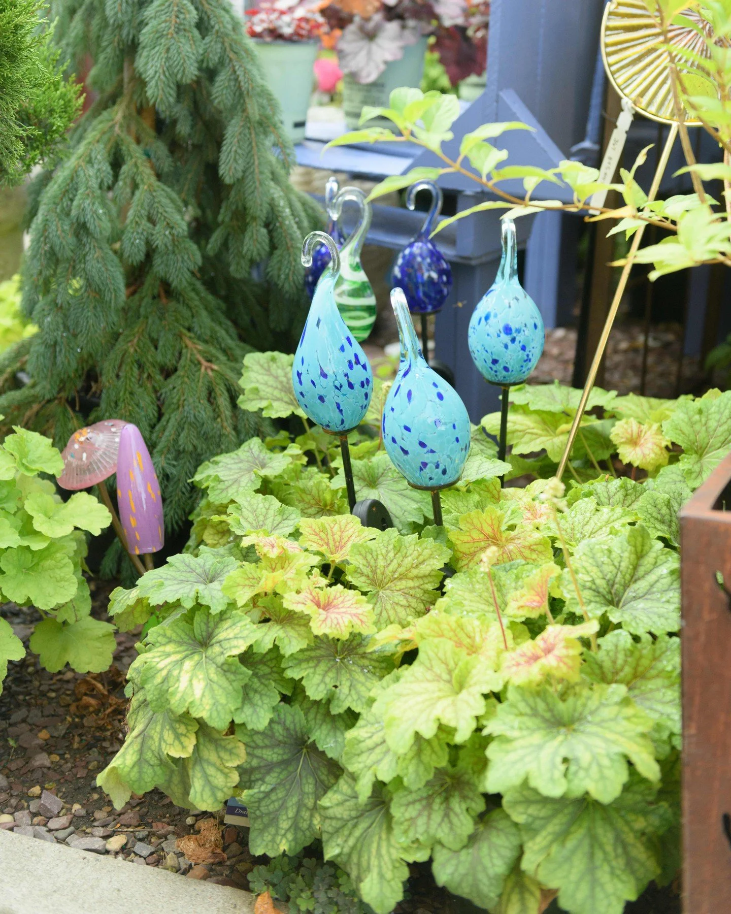 Step into our Nurseries, they're still full of color and it's not too late to plant! 🌱