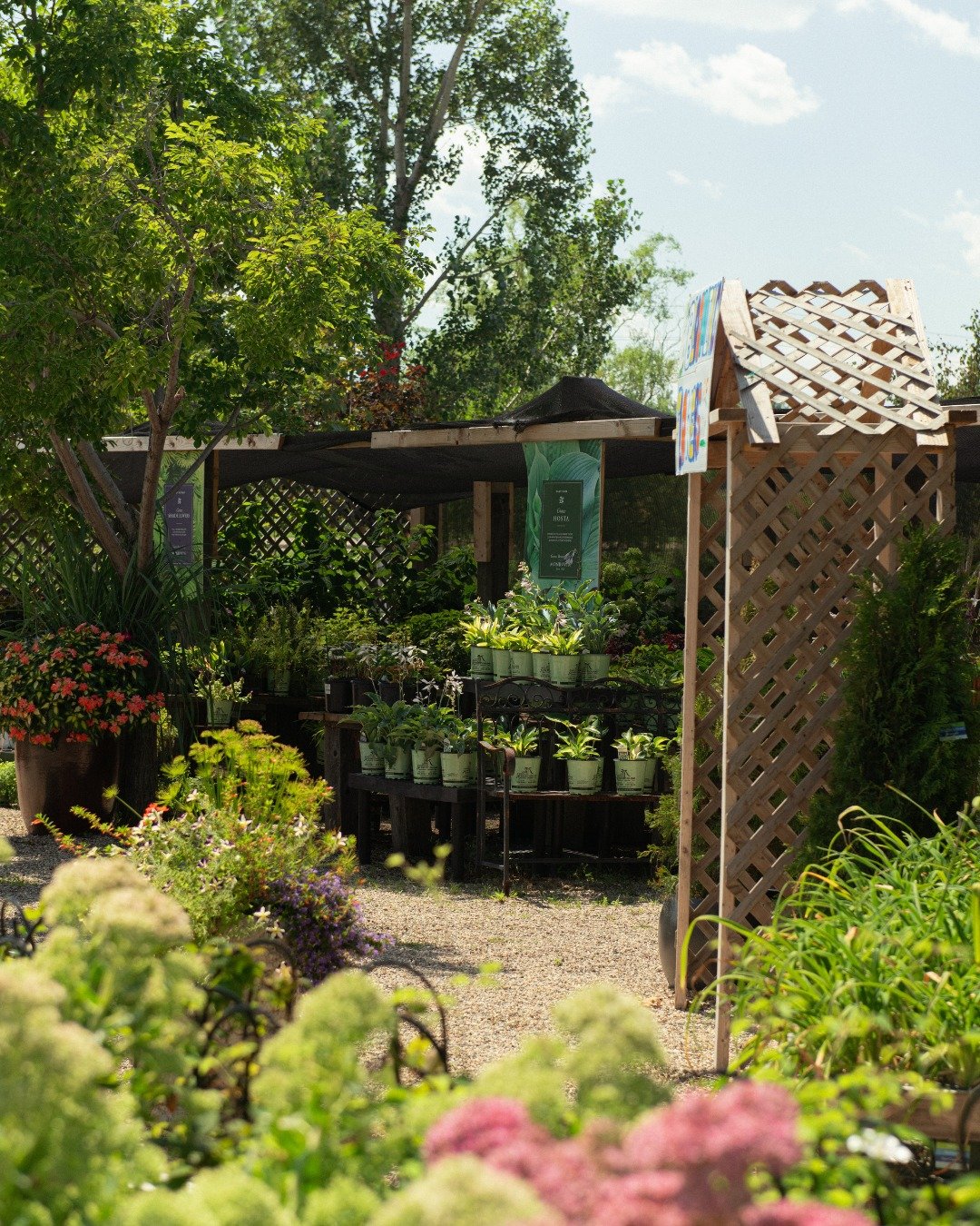 Starting today our perennials are 30% off! @ BOTH stores🌸 Head to the link in our bio for more information!
