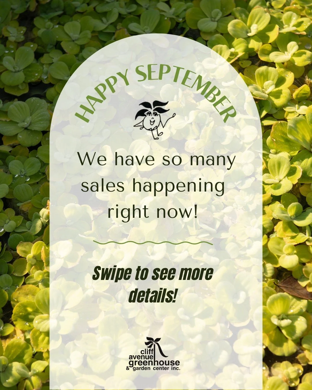So many fall sales happening right now!✨ Head to the link in our bio for more information about all the different sales!