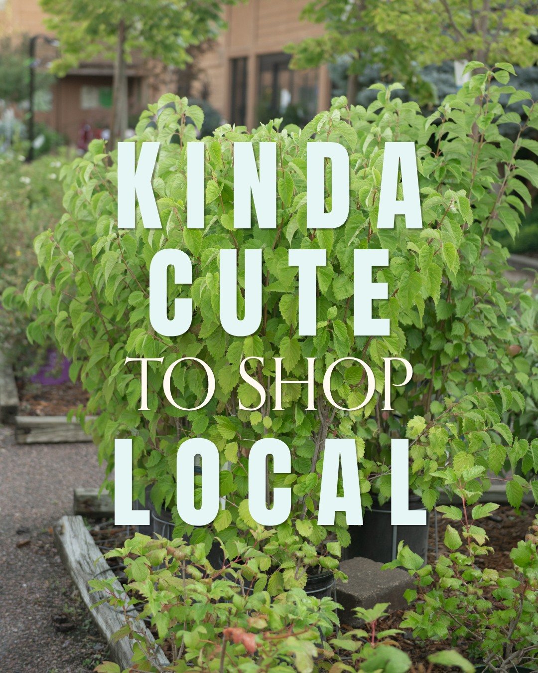 Kinda cute to spend the day shopping before all the fun Saturday night events! If you're in town for the @cinchplayoffs Rodeo be sure to stop into either of our stores and get 10% off your purchase when you show your ticket for the #cinchrodeo 2026!