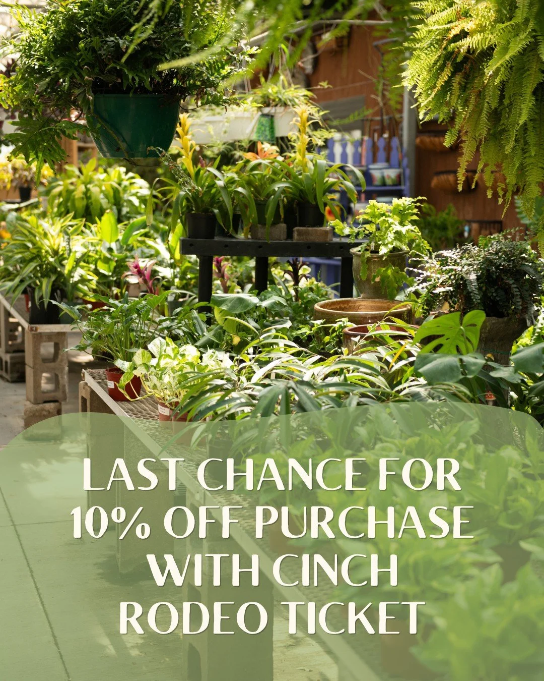 It's the last day to show your 2026 @cinchplayoffs rodeo ticket to get 10% off your purchase🐎