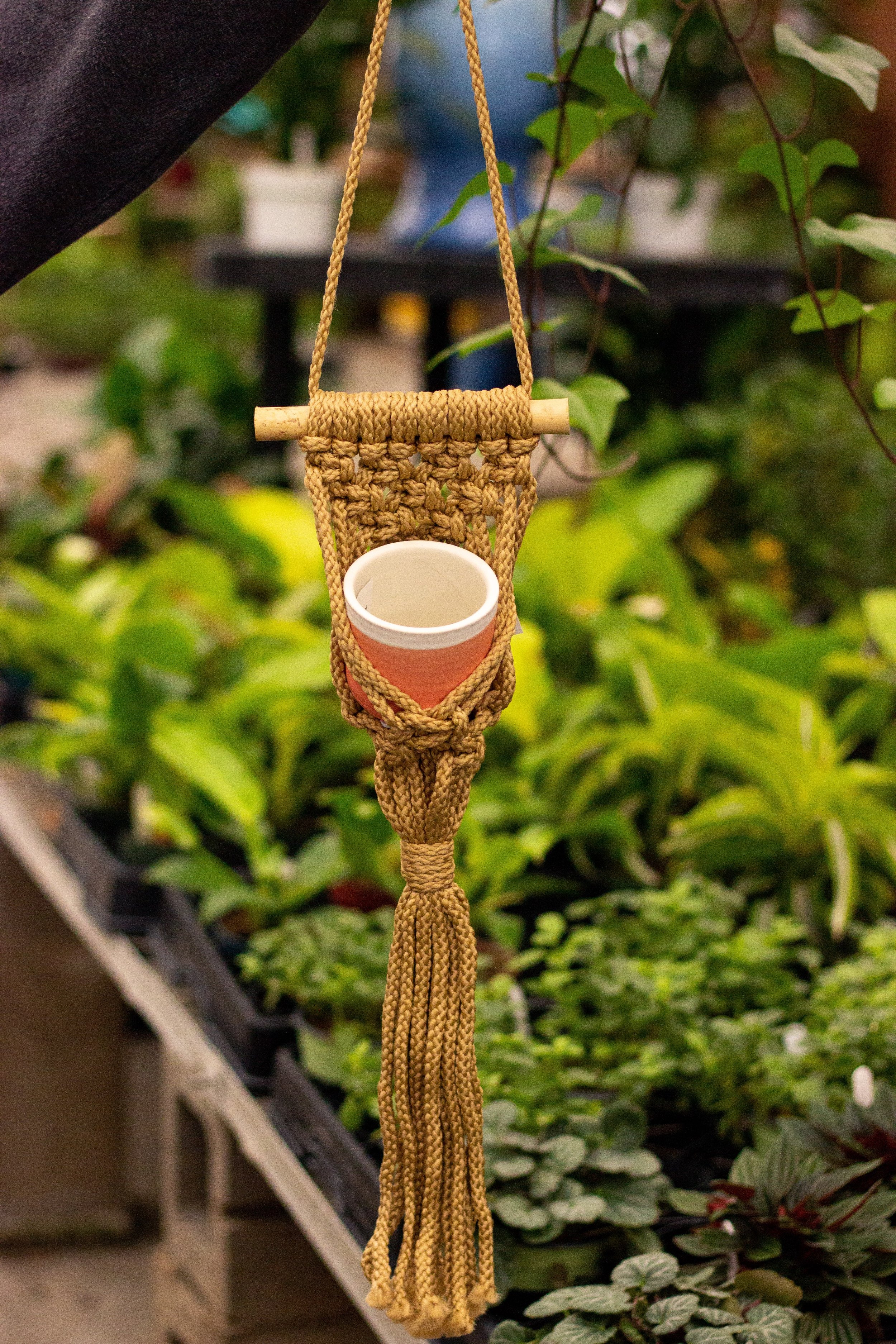 macrame hangers for planters and houseplants