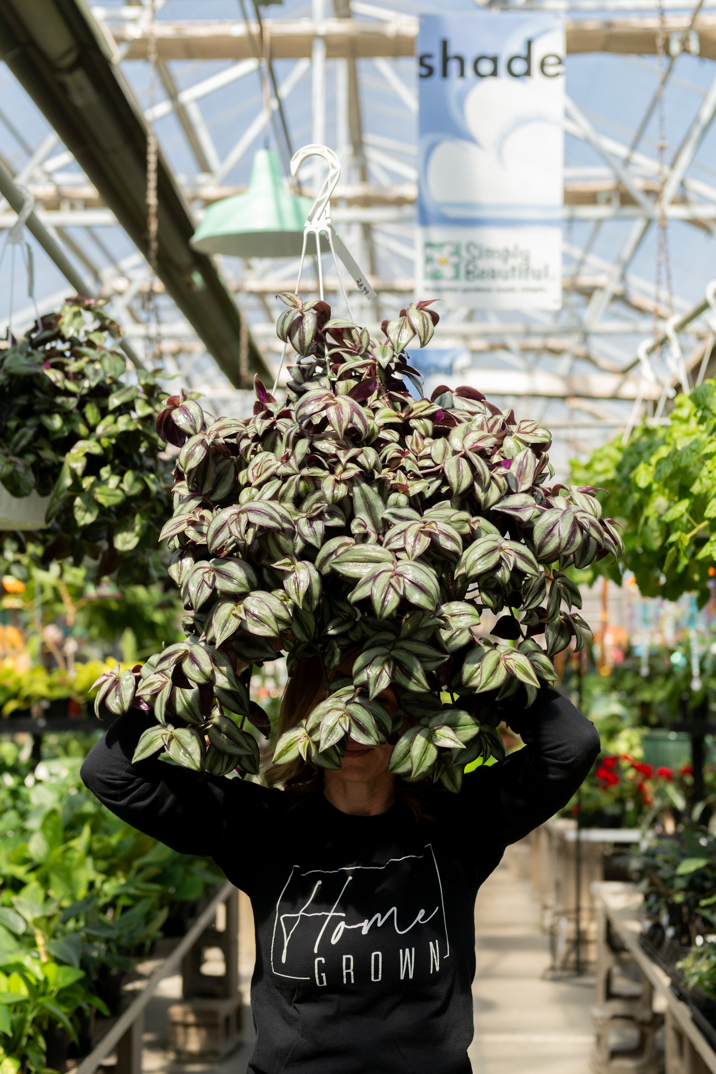 woman holding large plant above head