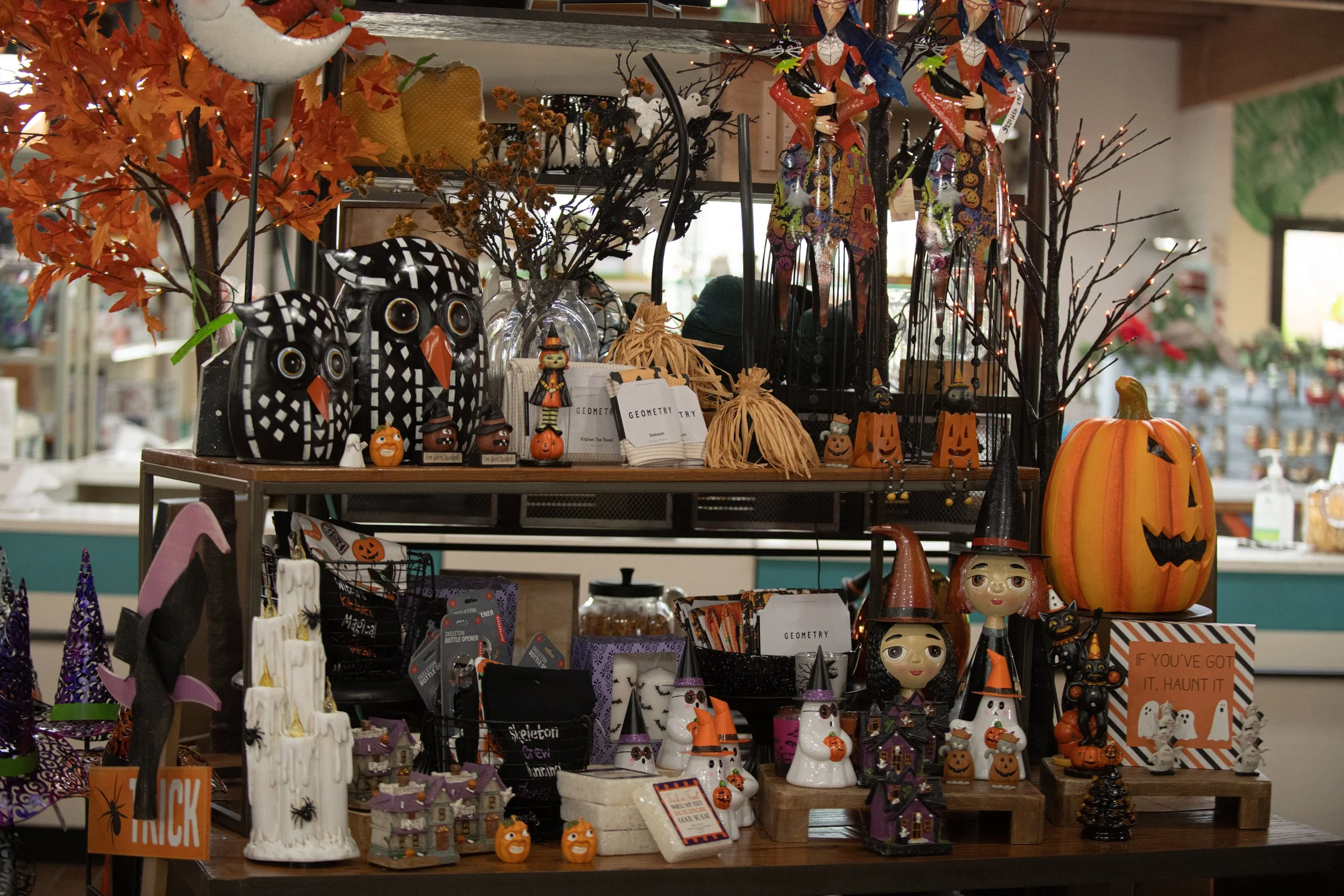 BEST-GARDEN-CENTER-SIOUX-FALLS-16-2.jpeg