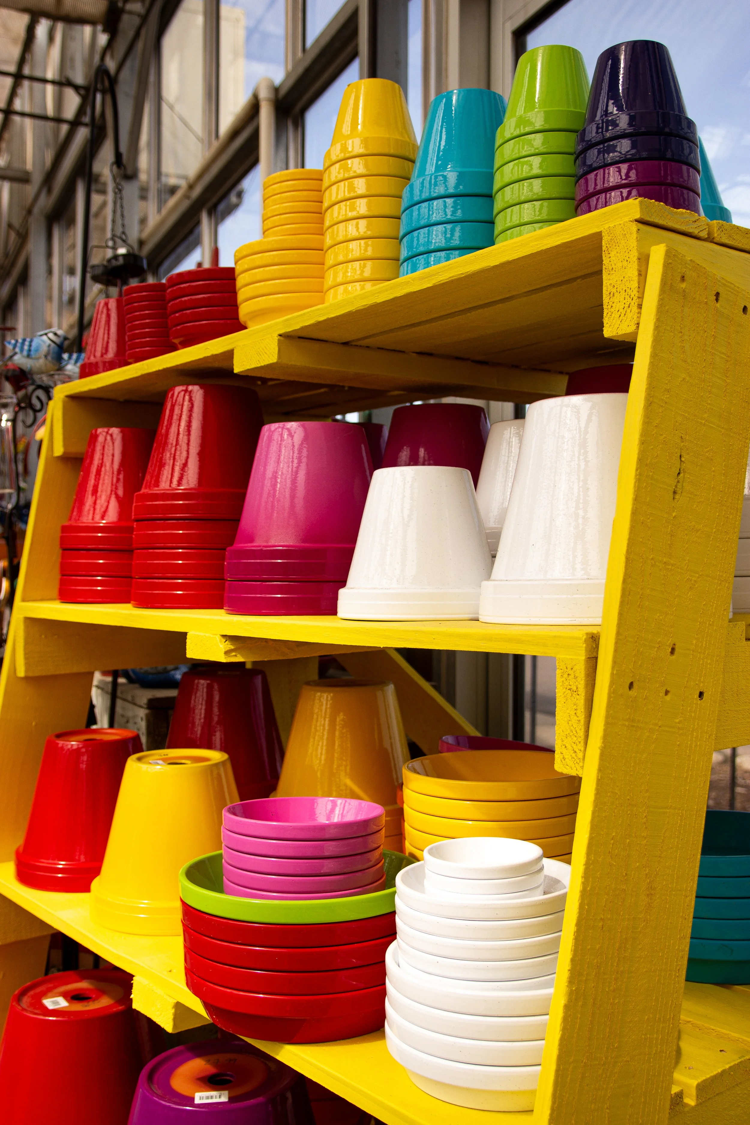 colorful rainbow planters 