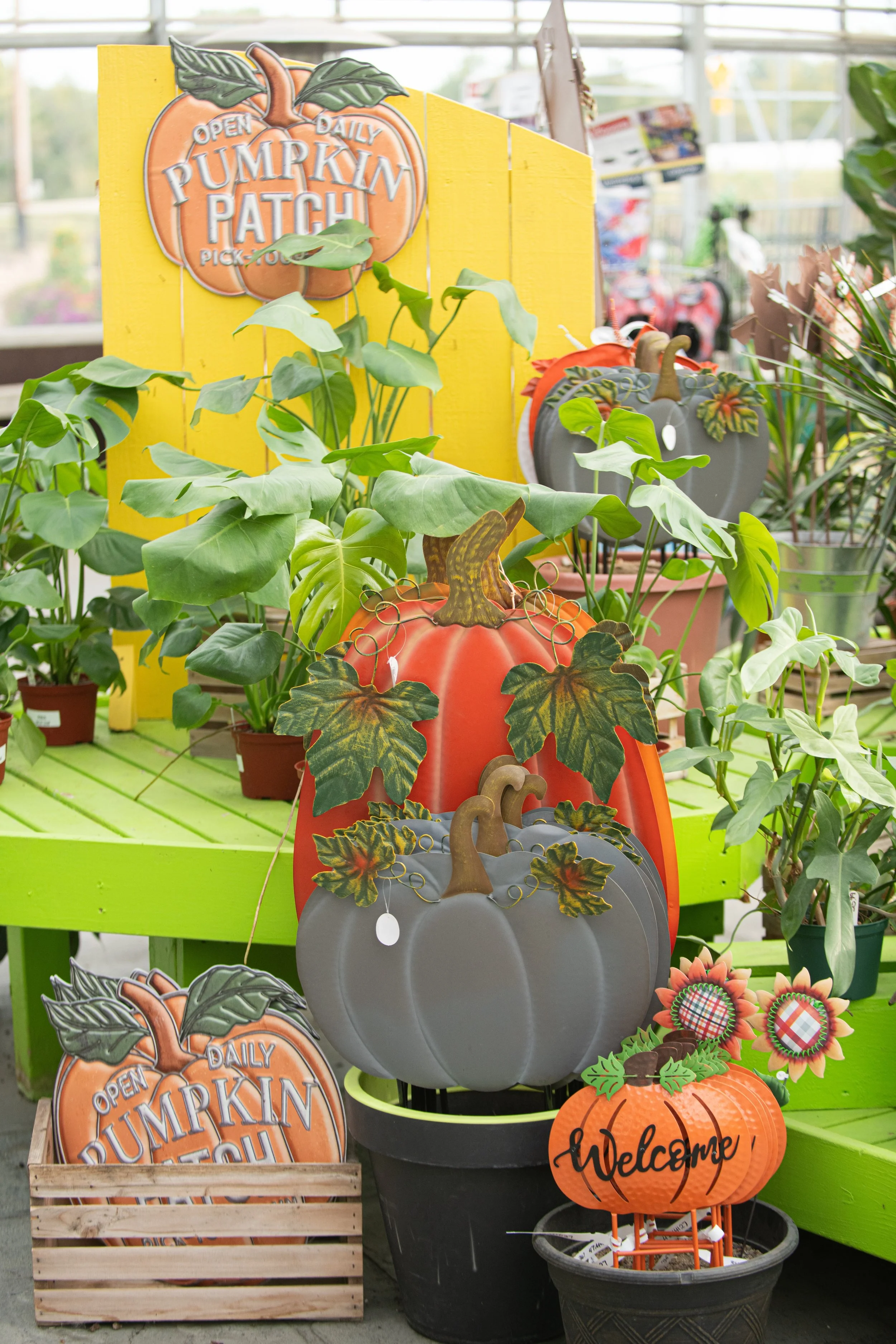 BEST-GARDEN-CENTER-SIOUX-FALLS-4-4.jpeg
