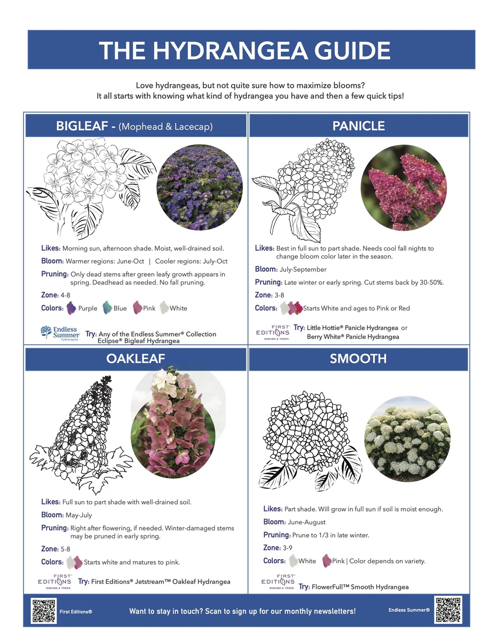Hydrangea Guide — Cliff Avenue Greenhouse and Garden Center
