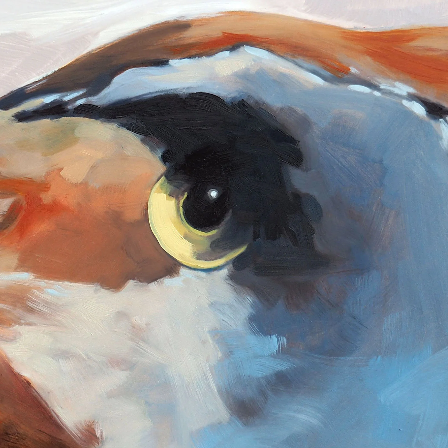 03.17.26 Mountain Mimicking Bird DET.jpg