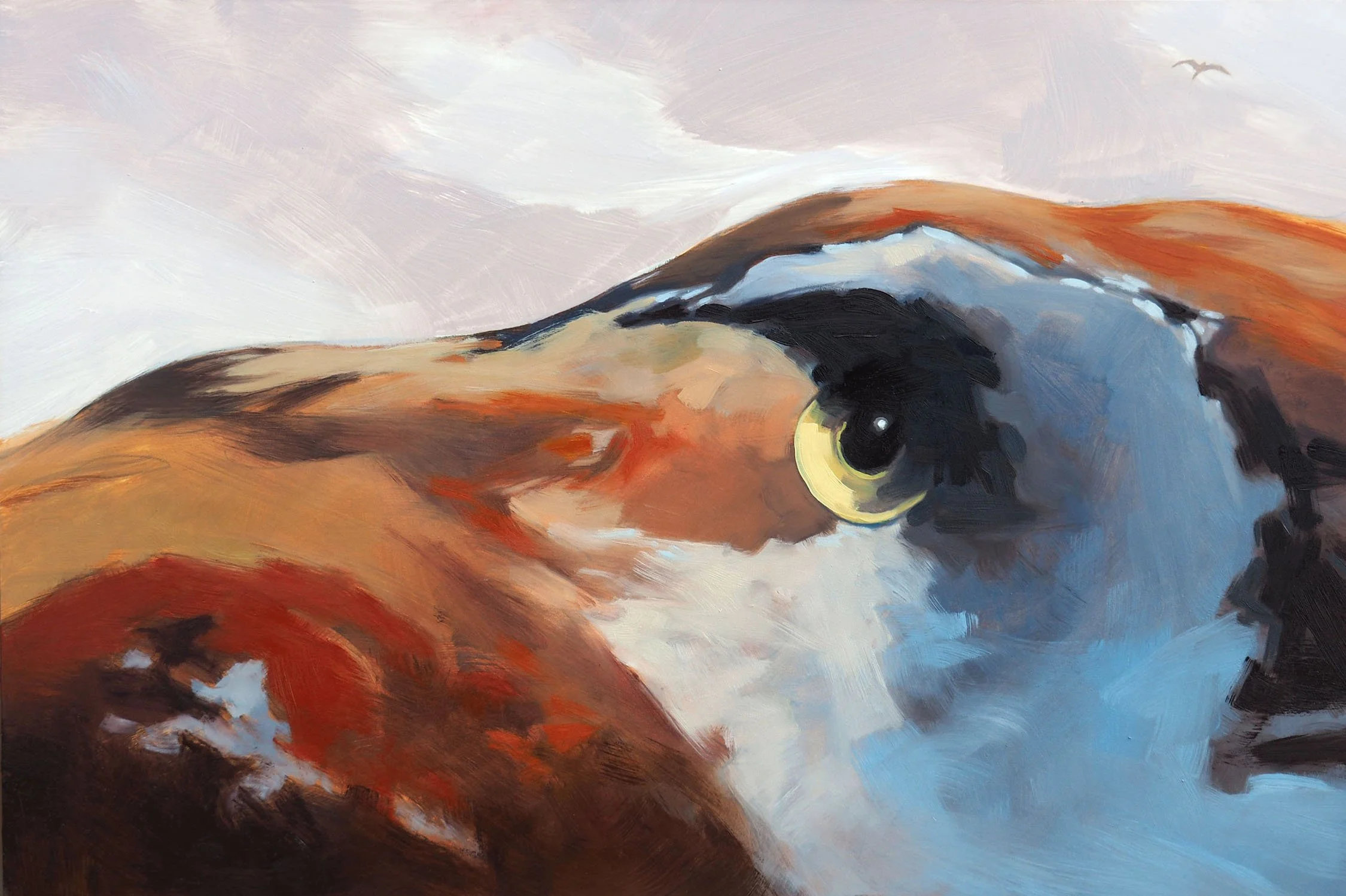 03.17.26 Mountain Mimicking Bird.jpg