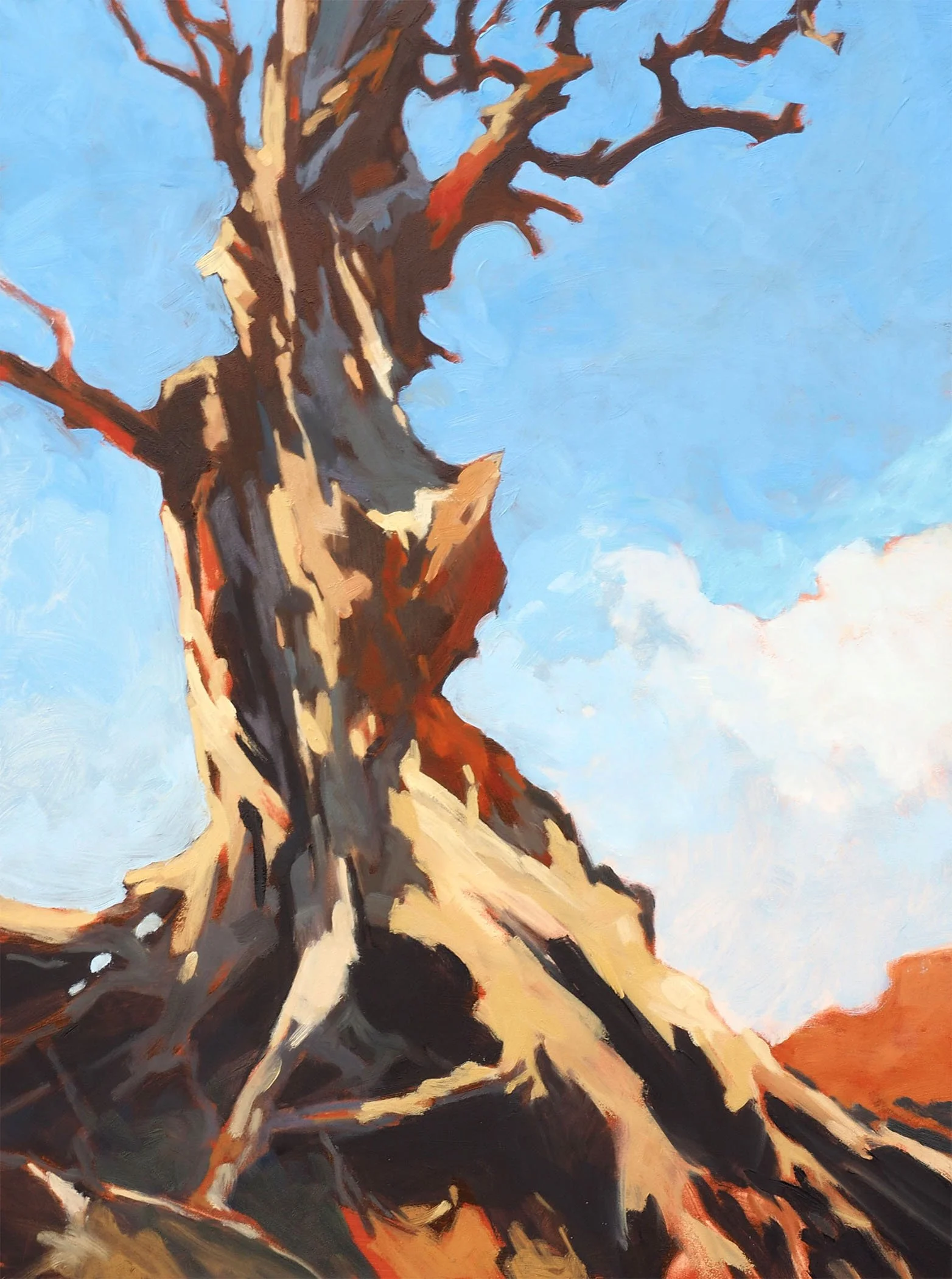 High Desert Pinon 24x18 oil on panel.jpg