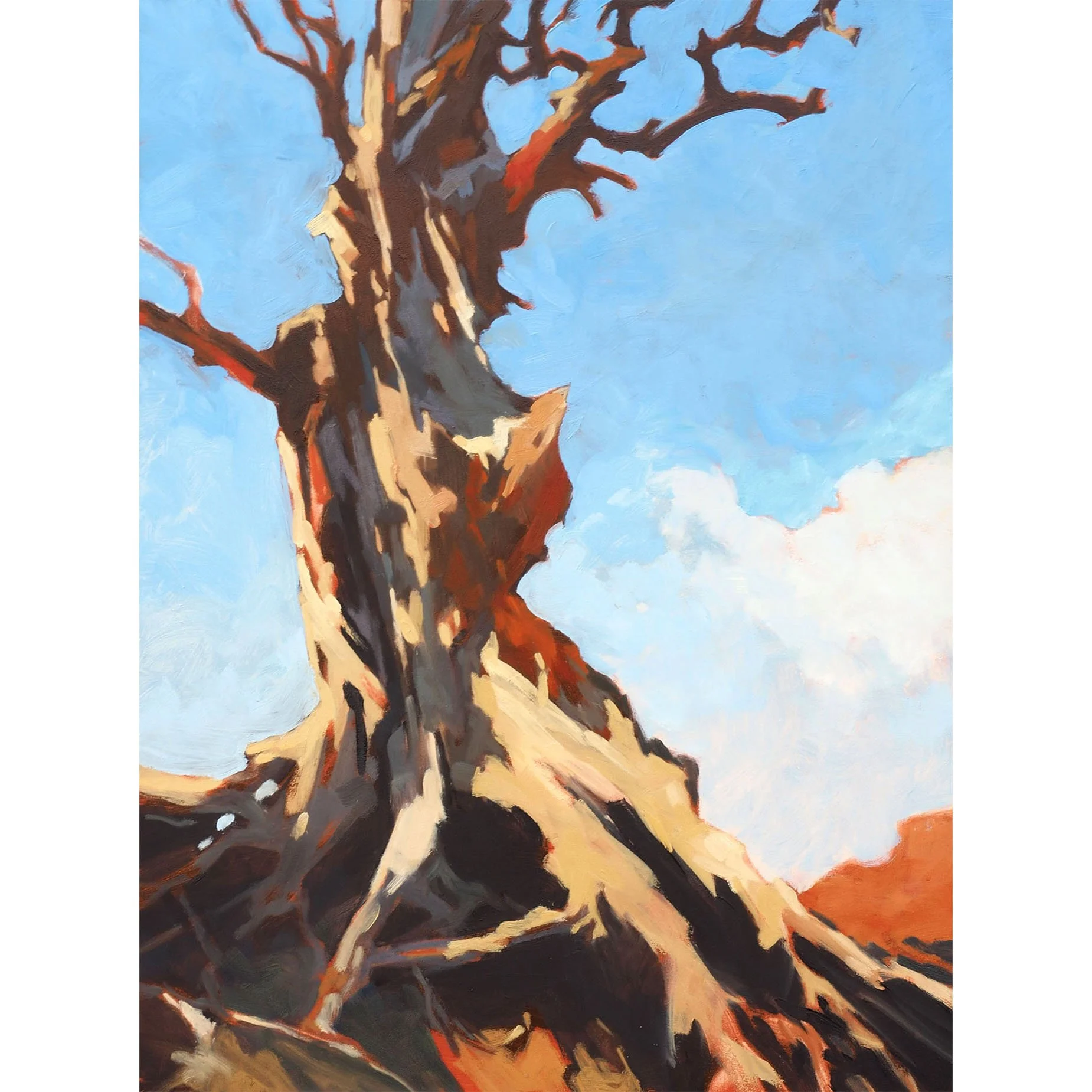 High Desert Piñon