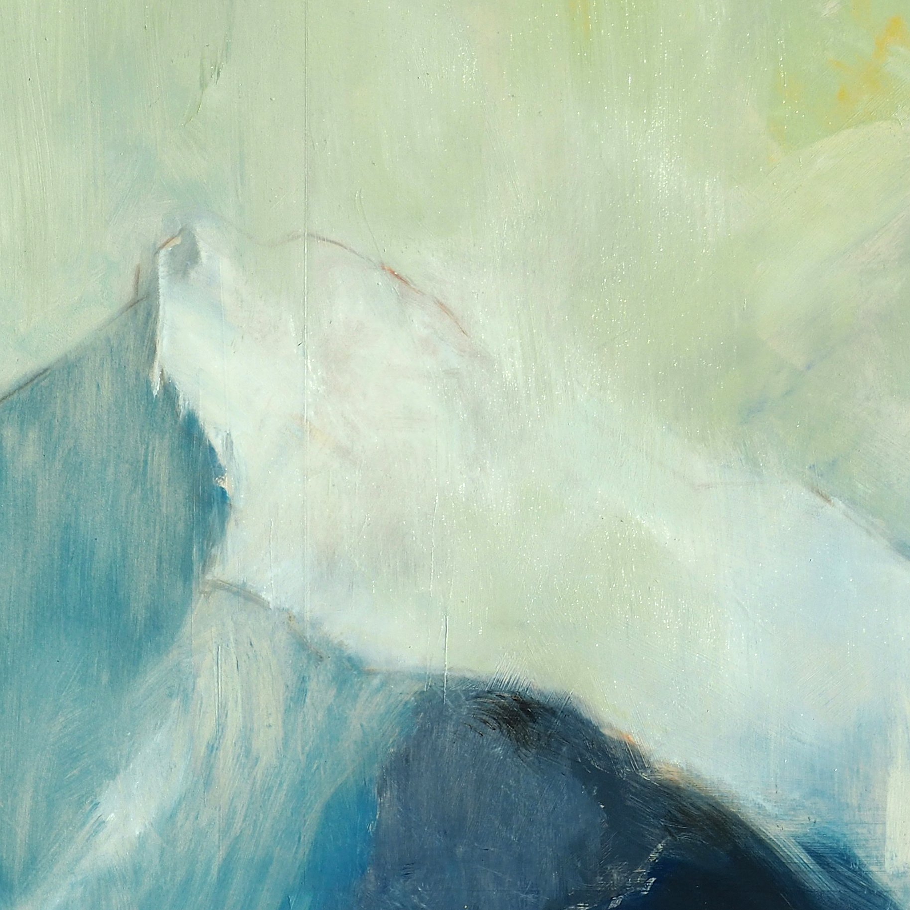 02-02-26 Snow Det 3.jpg