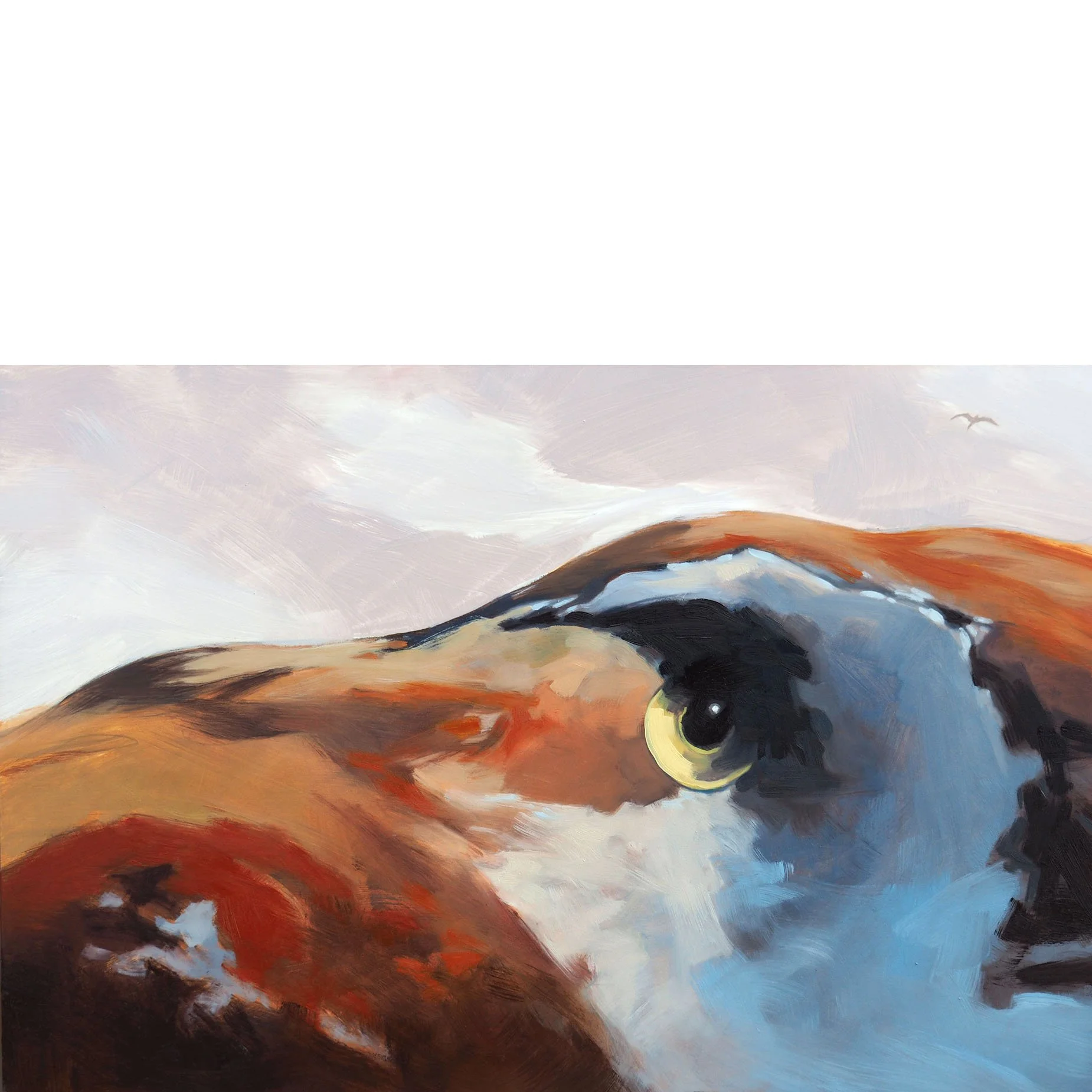 03.17.26 Mountain Mimicking Bird SQ.jpg