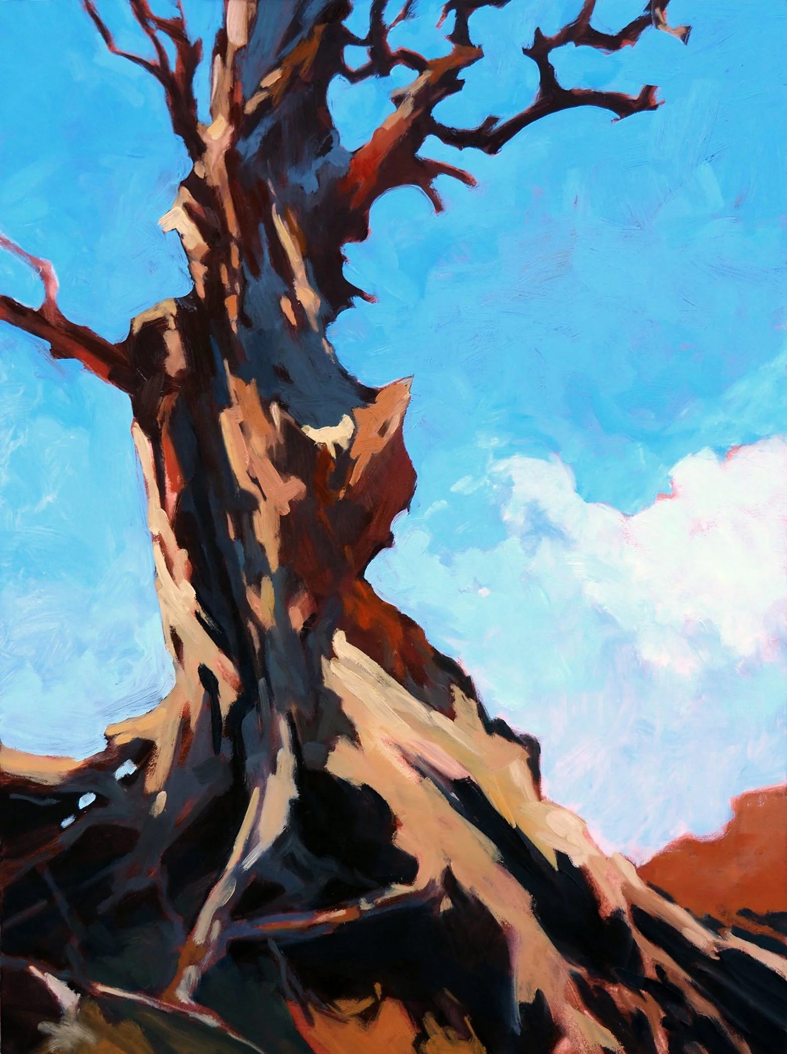 High Desert Pinon 24x18 oil on panel.jpg