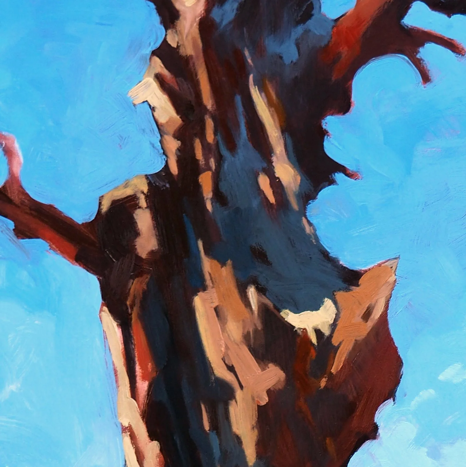 High Desert Pinon Det 1.jpg