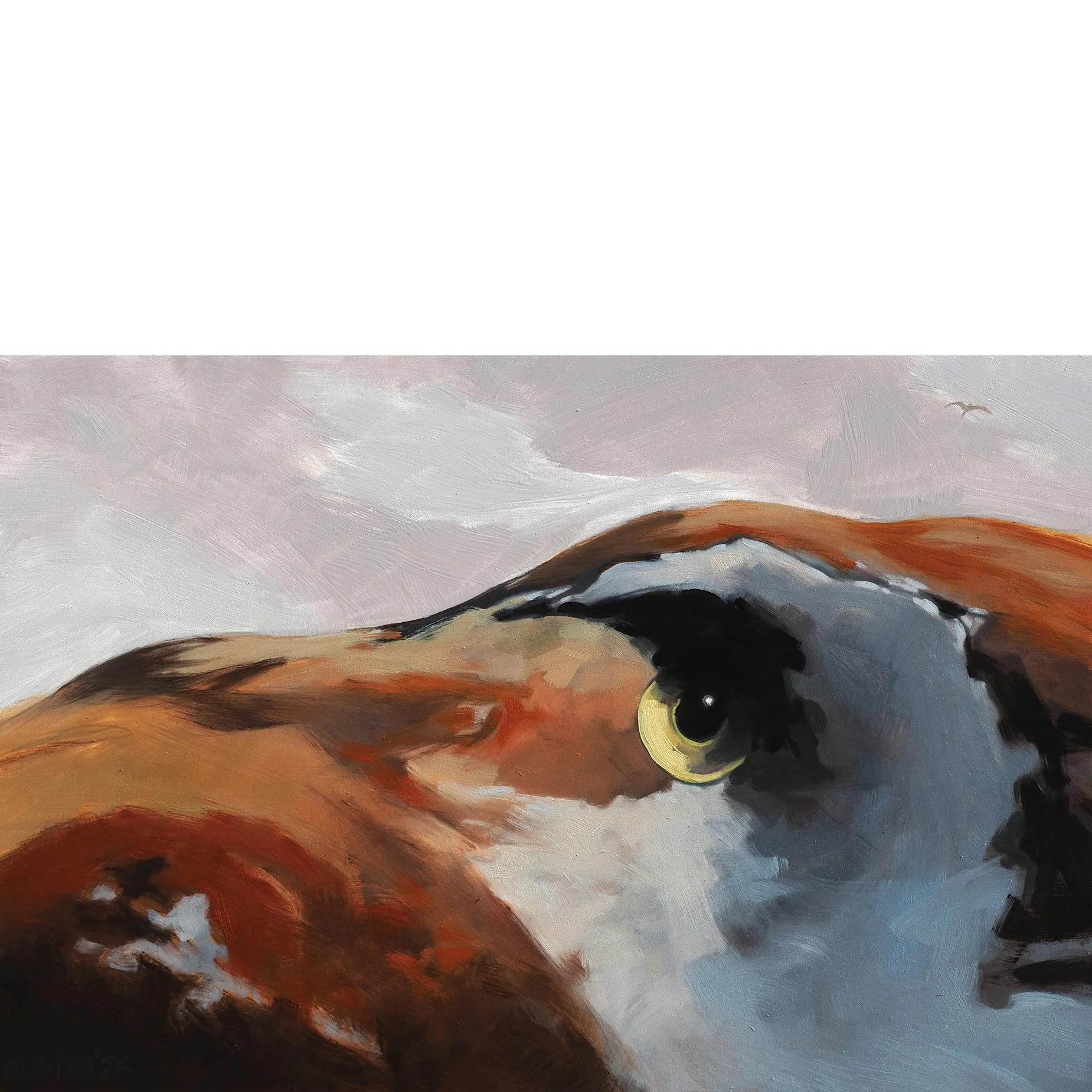 Mountain Mimicking Seabird