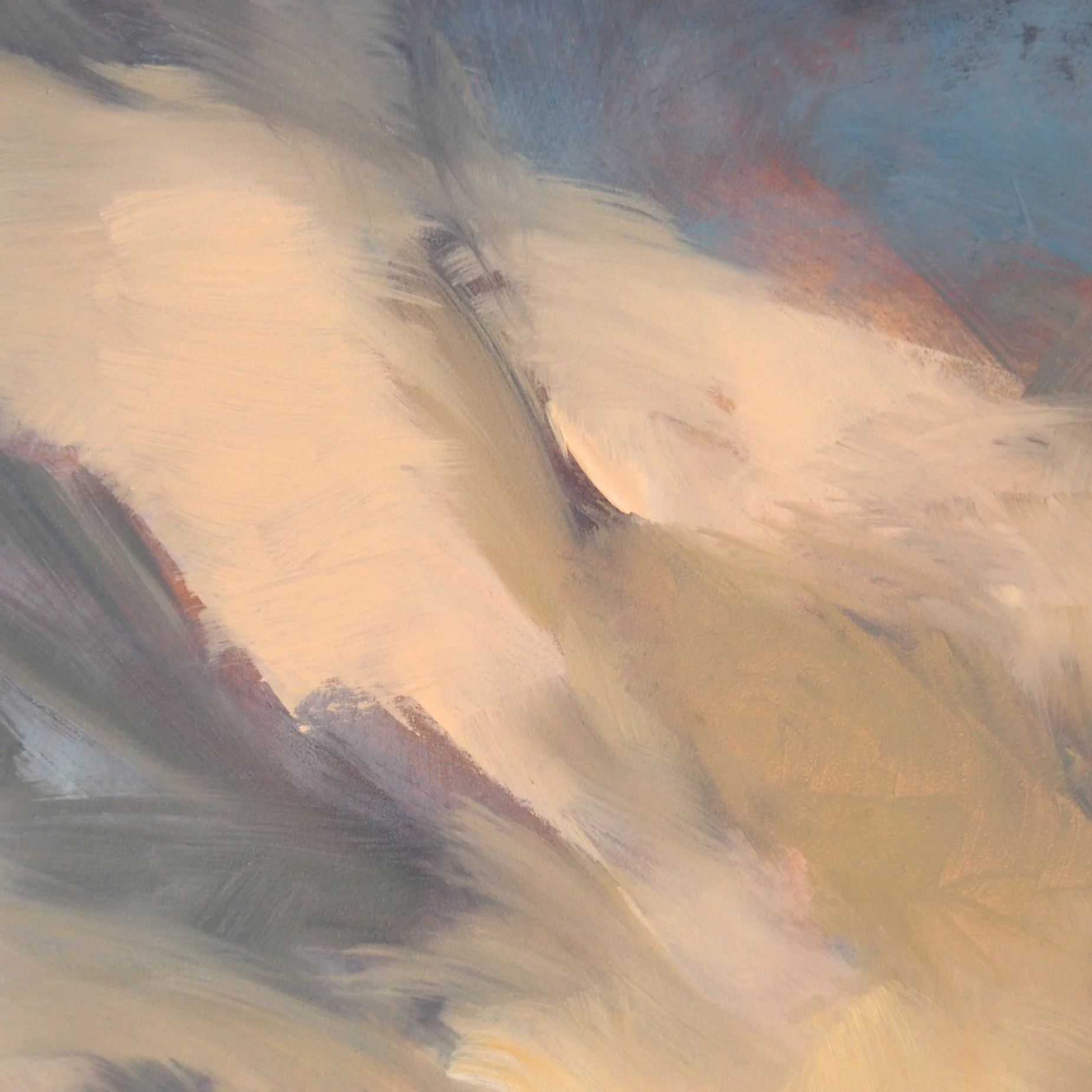 Salida Cloud DET 2.jpg