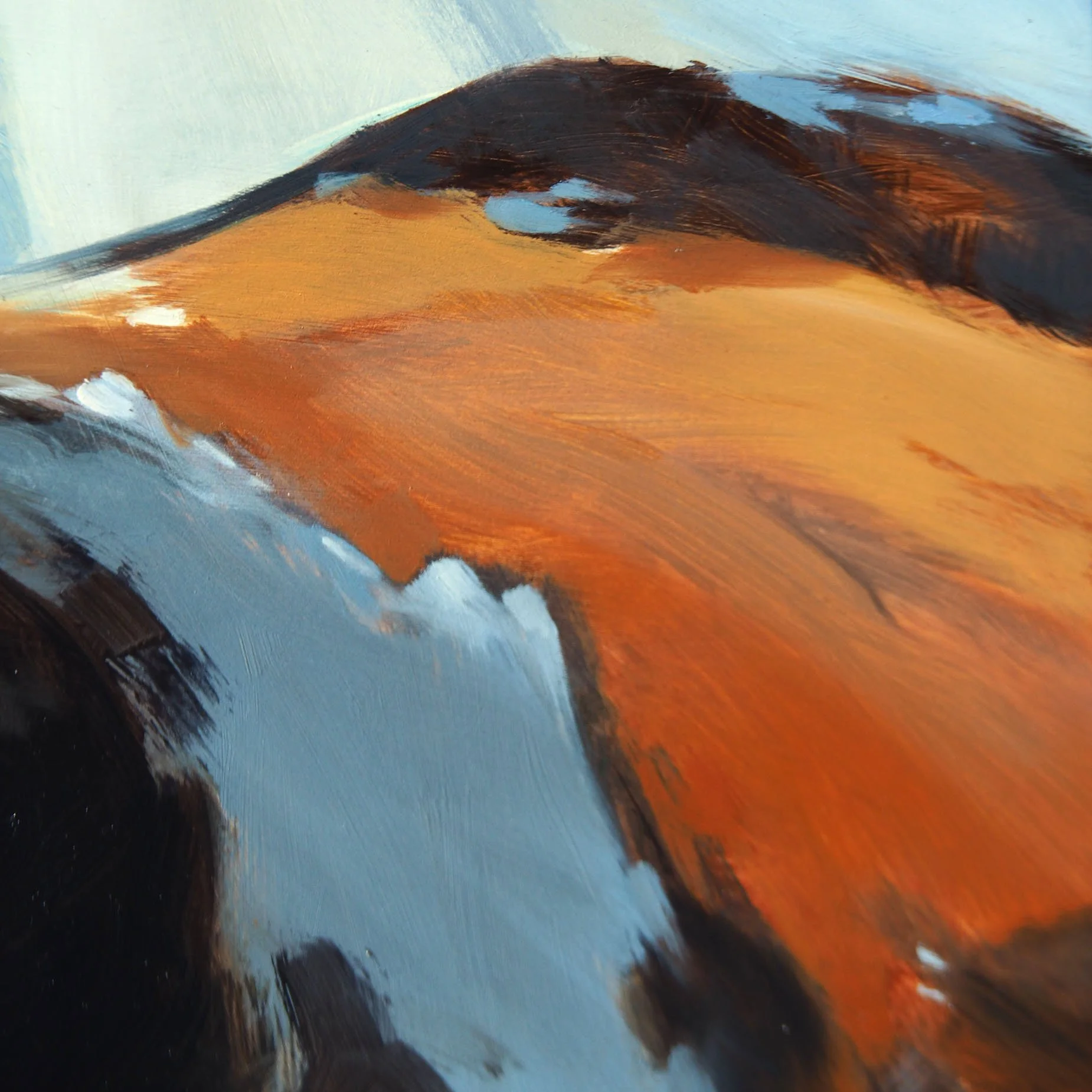 03.15.26 Cloud Mimicking DET 1.jpg