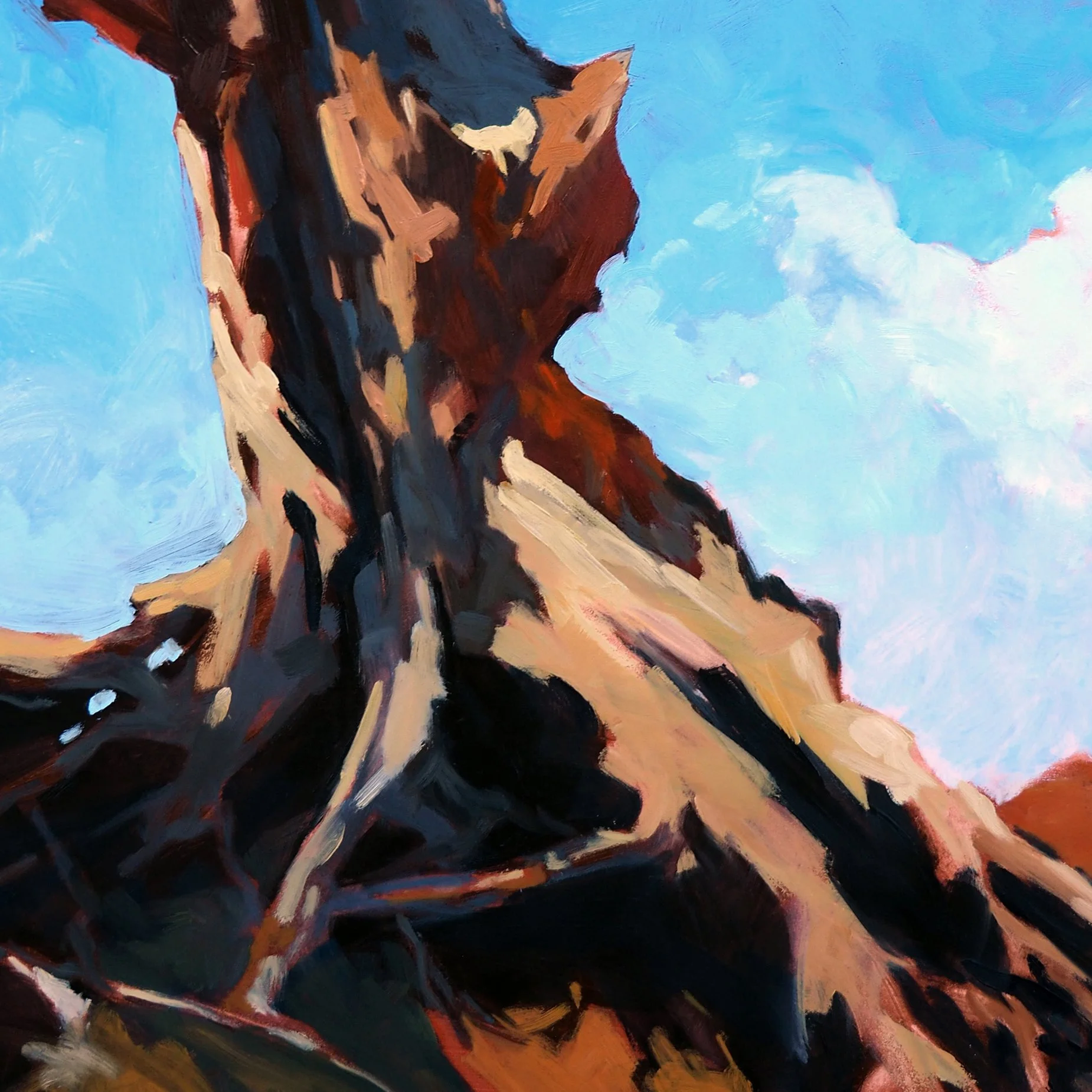 High Desert Pinon Det 2.jpg