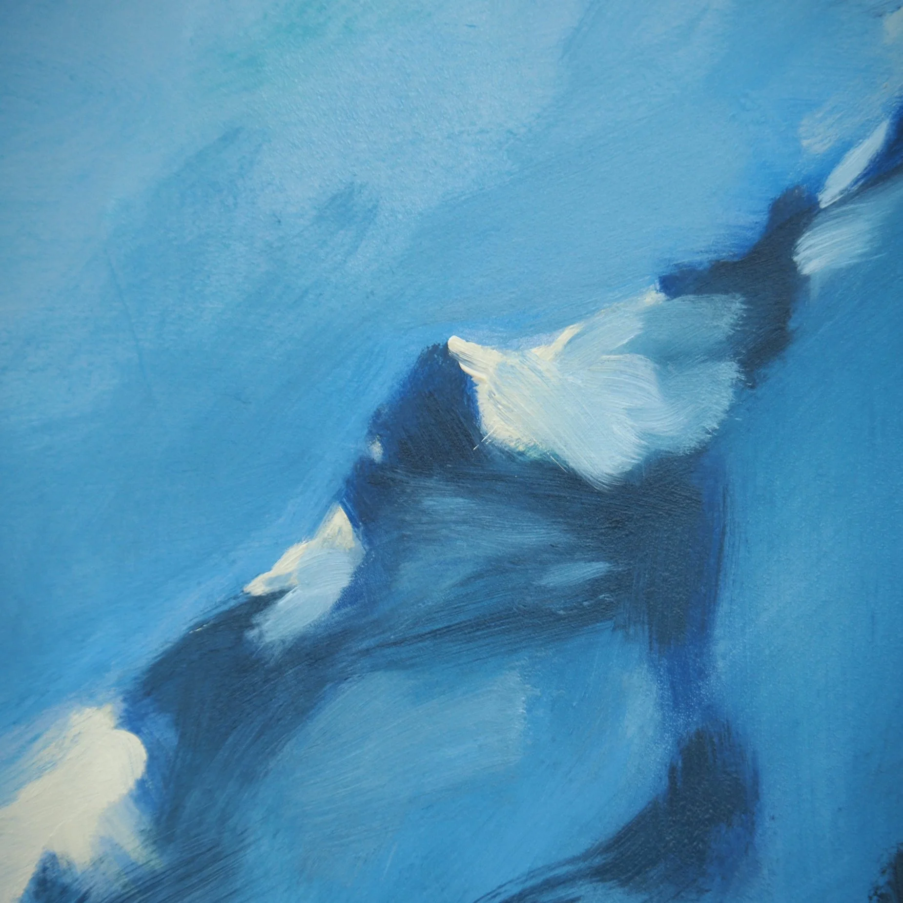 02-26-26 Annecy DET 1.jpg