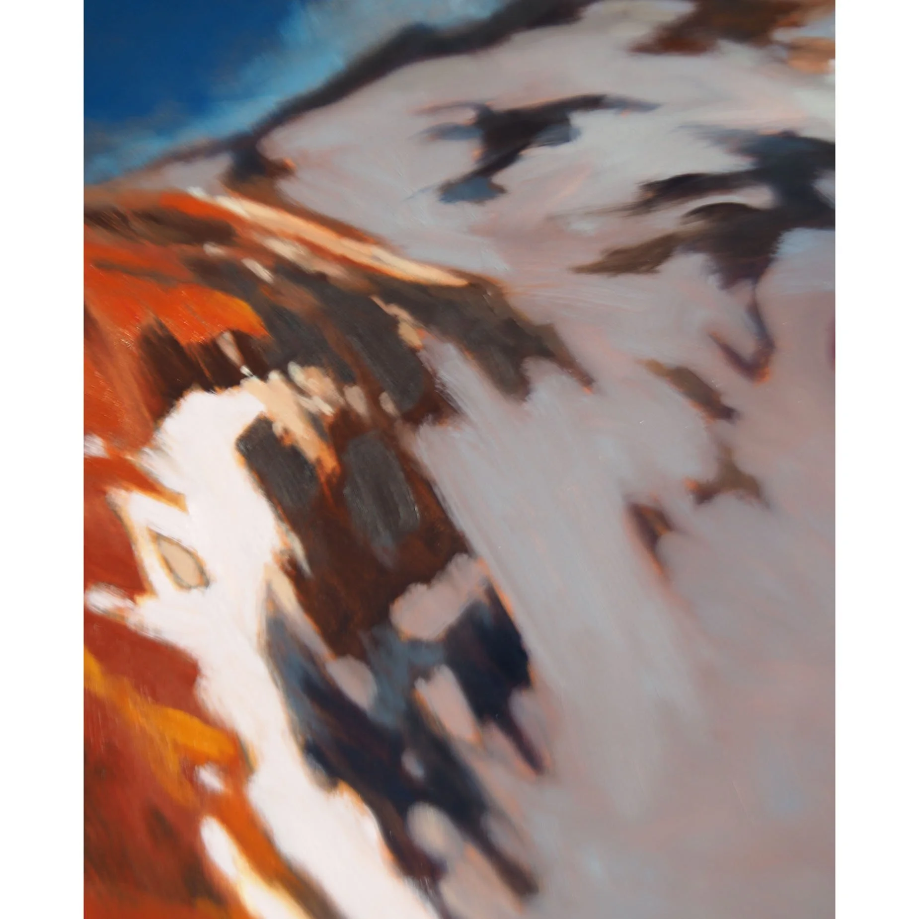 03-20-26 Mountain Jay DET 1.jpg