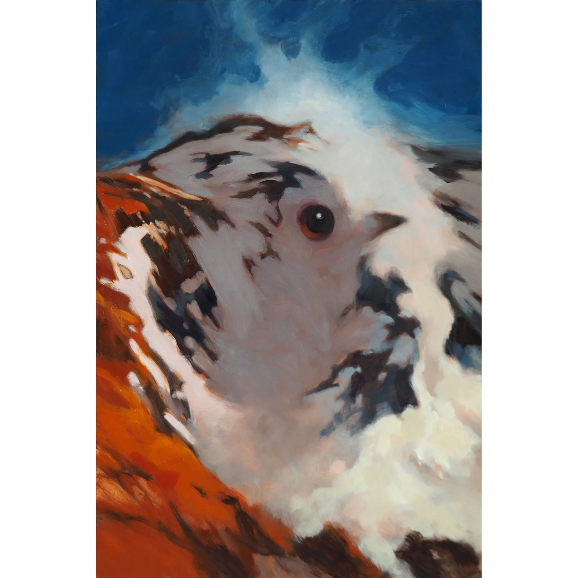 Mountain Jay (on hold for 43rd All Colorado Exhibit)