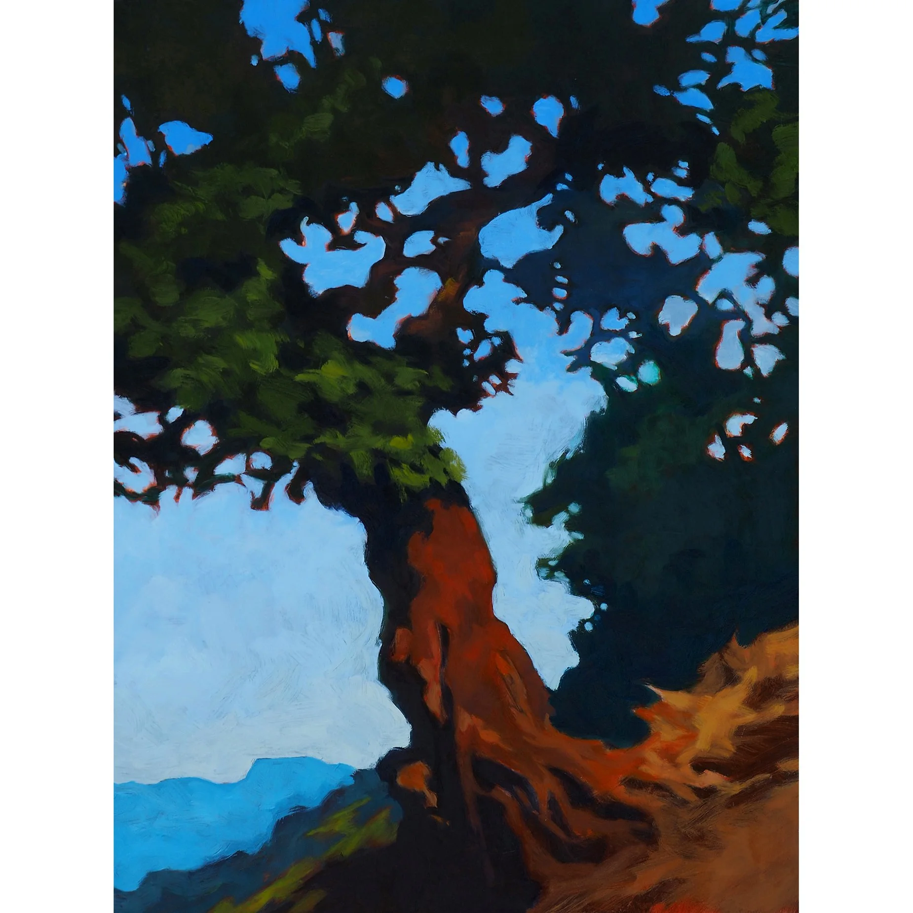 Pinon Under Clearing Skies SQ.jpg