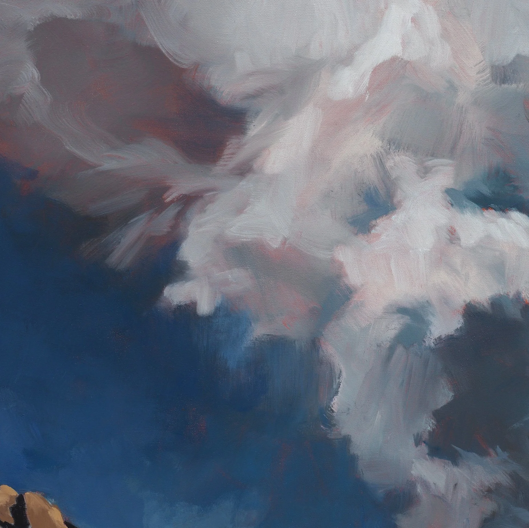 Blue Valley Storm DET 2.jpg
