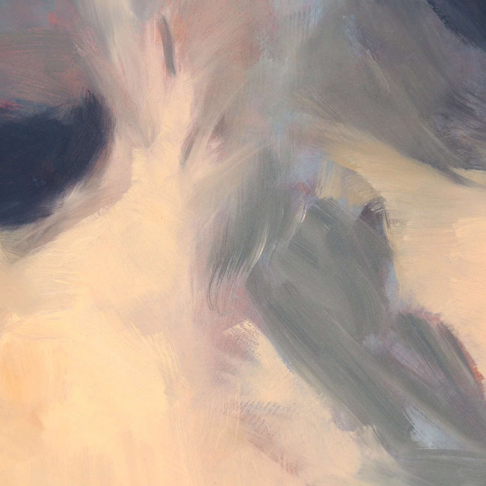 Salida Cloud DET.jpg