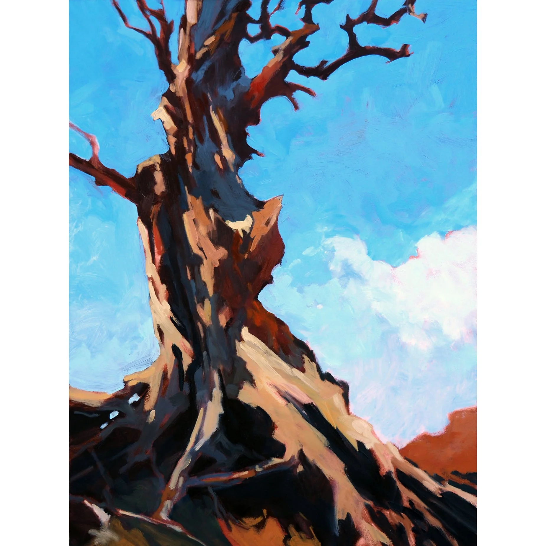 High Desert Pinon SQ.jpg