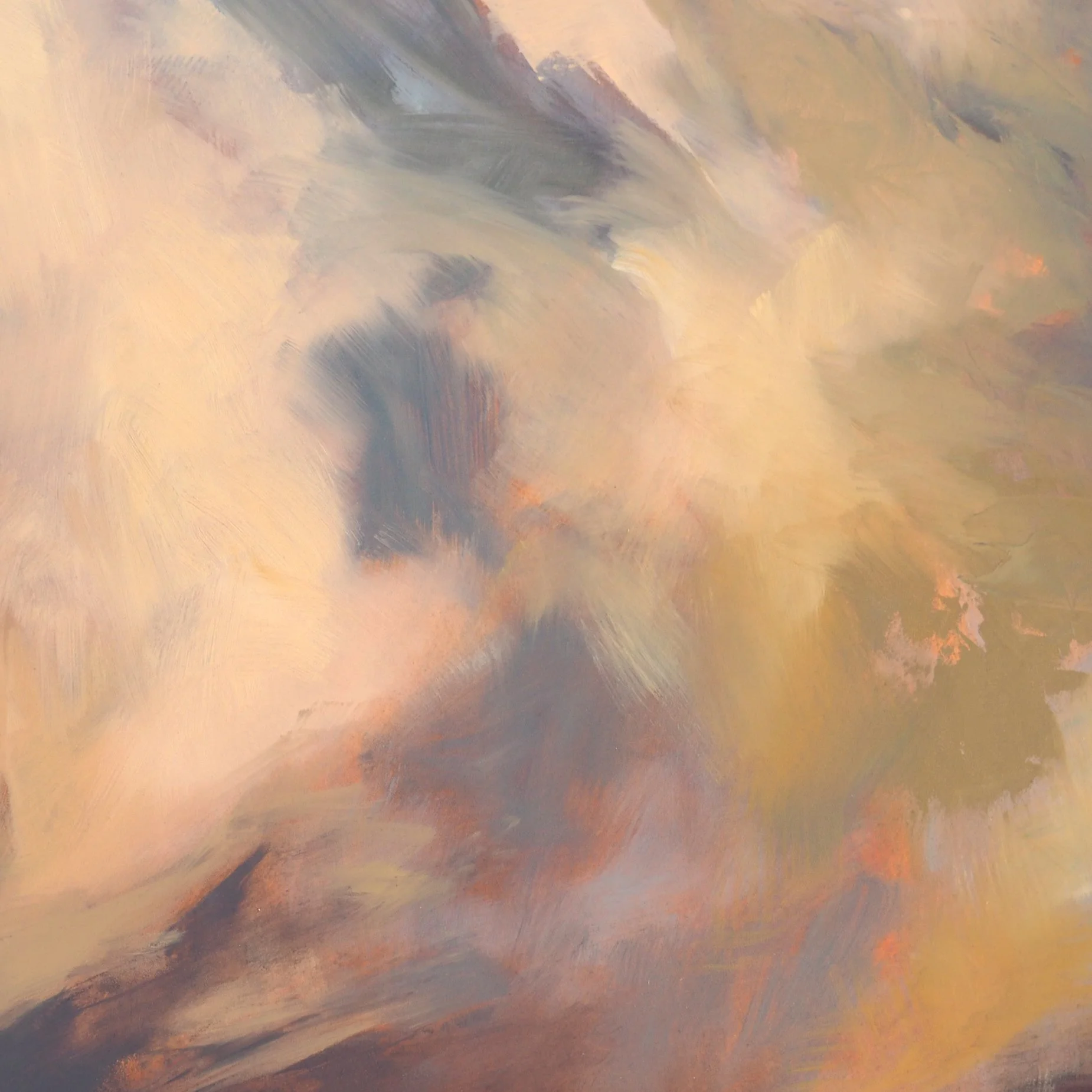 Salida Cloud DET 1.jpg