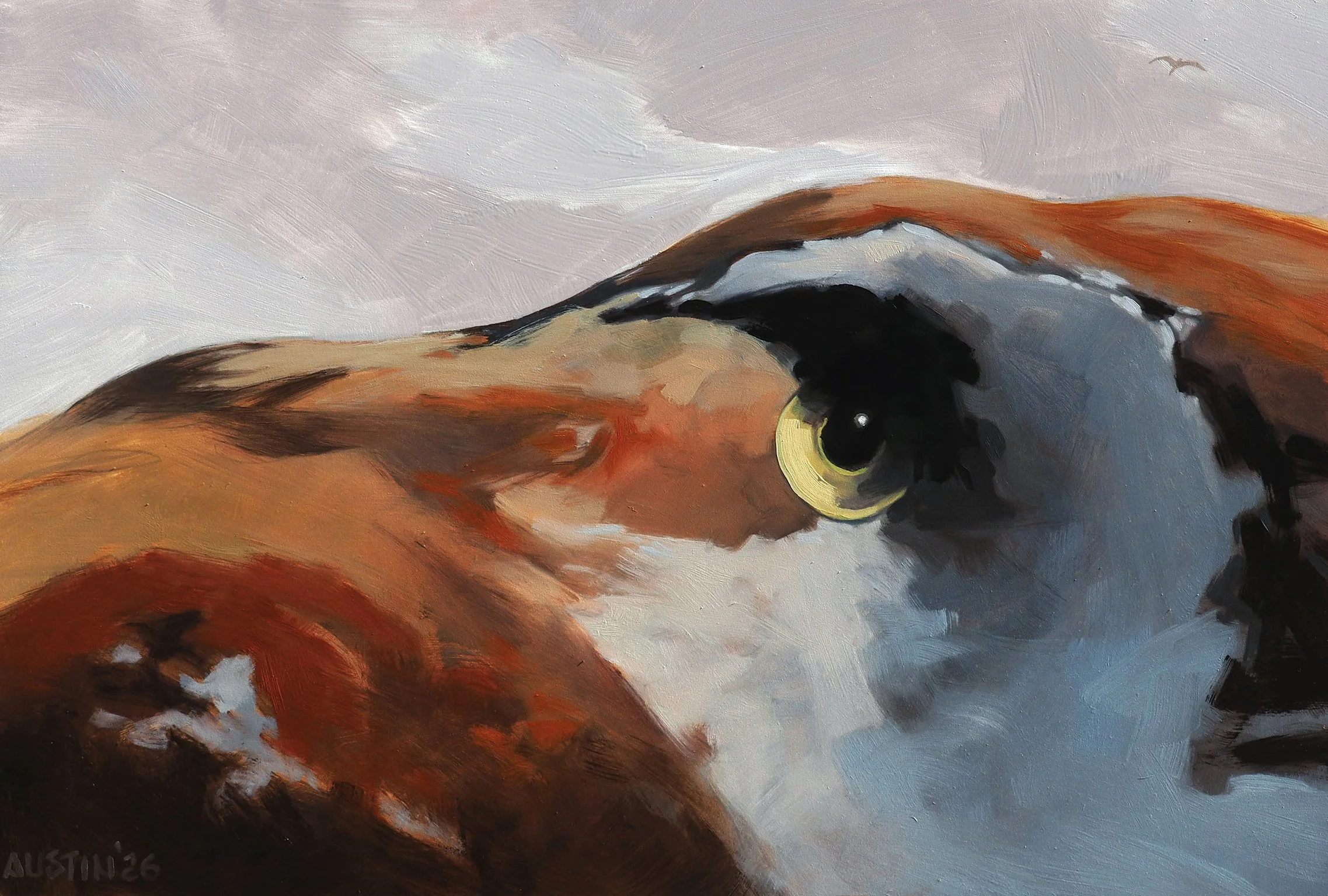 03.17.26 Mountain Mimicking Bird 20x30 panel.jpg