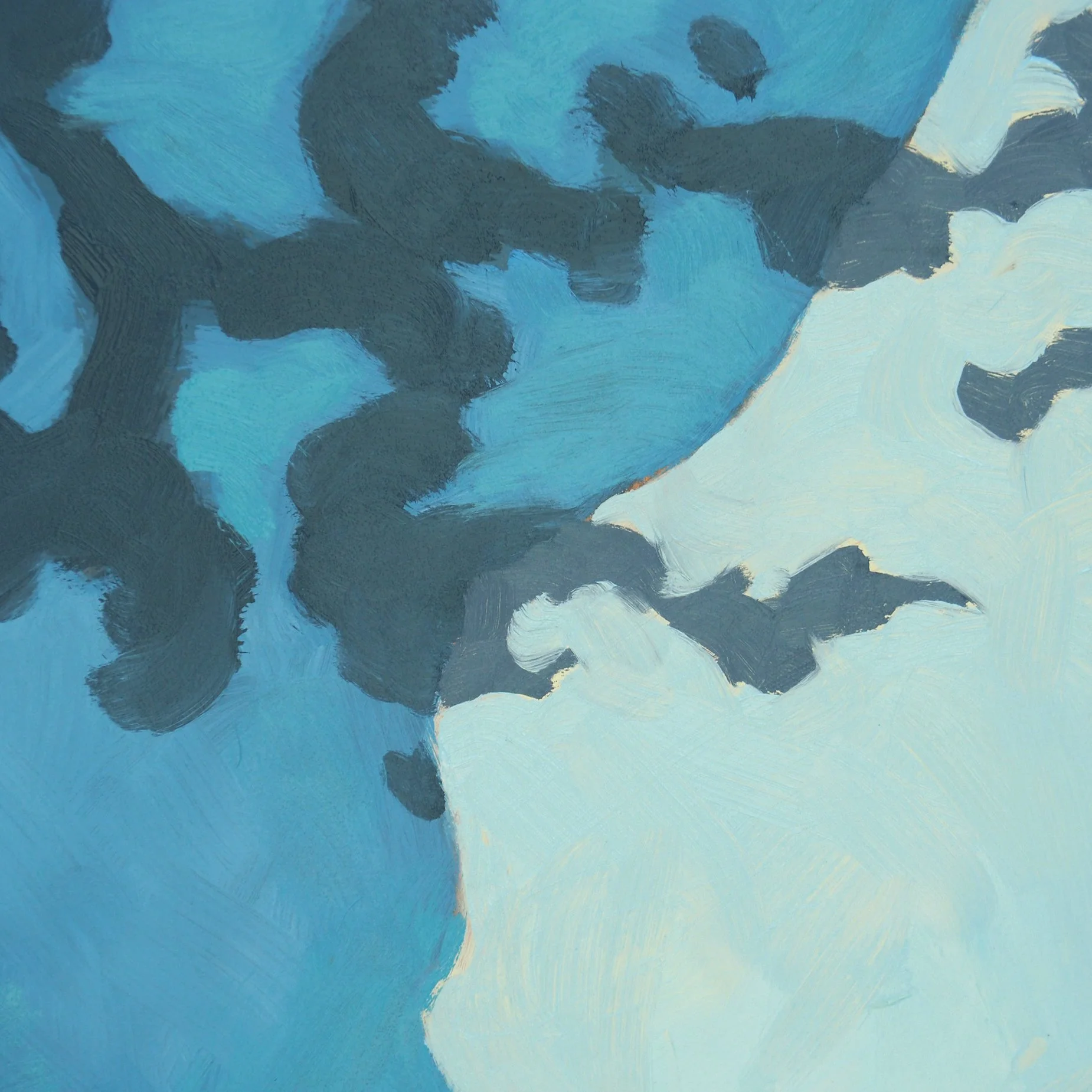 02.26.26 Crested Butte DET 3.jpg