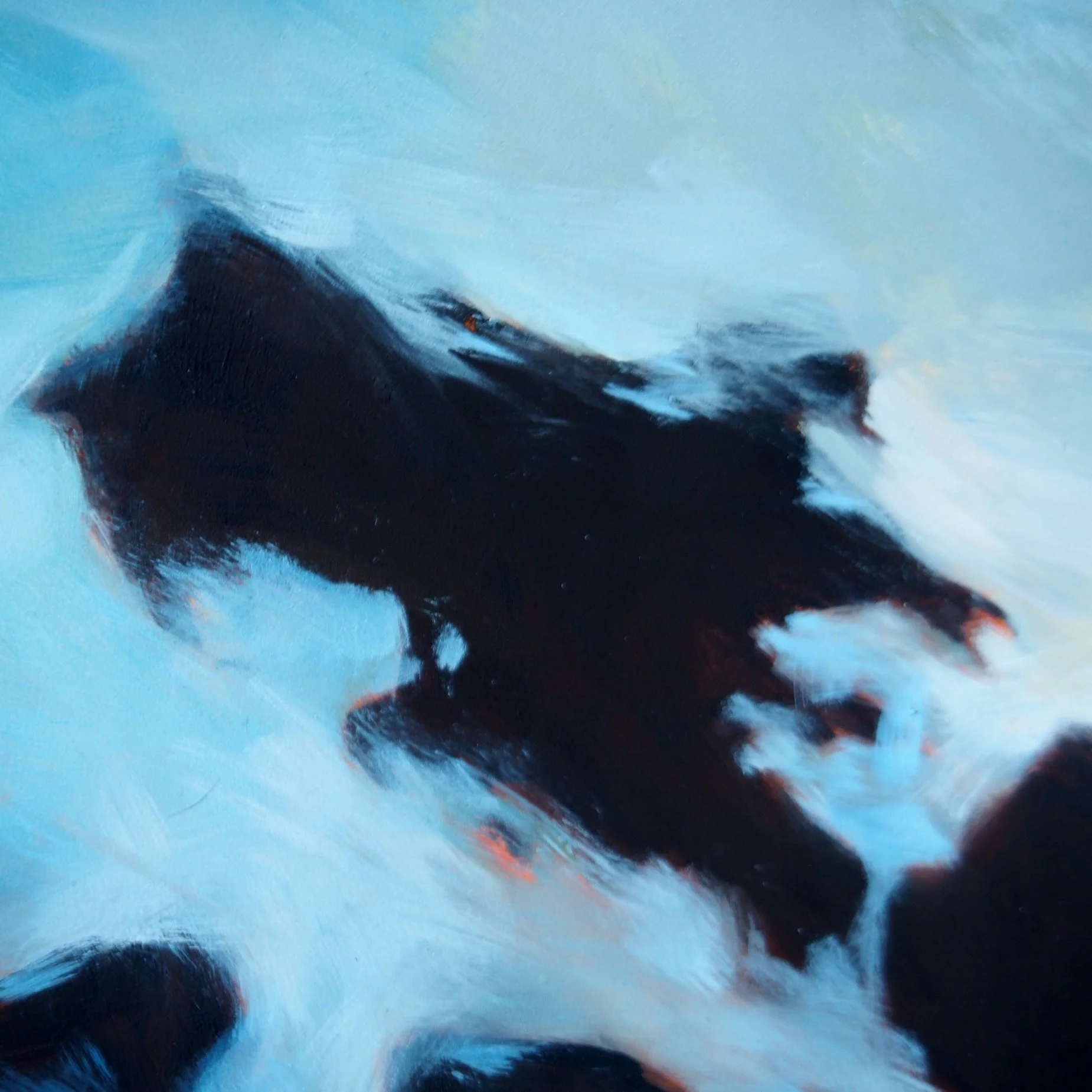 03-0326 Sea Fog 20x30 panel DET 1.jpg