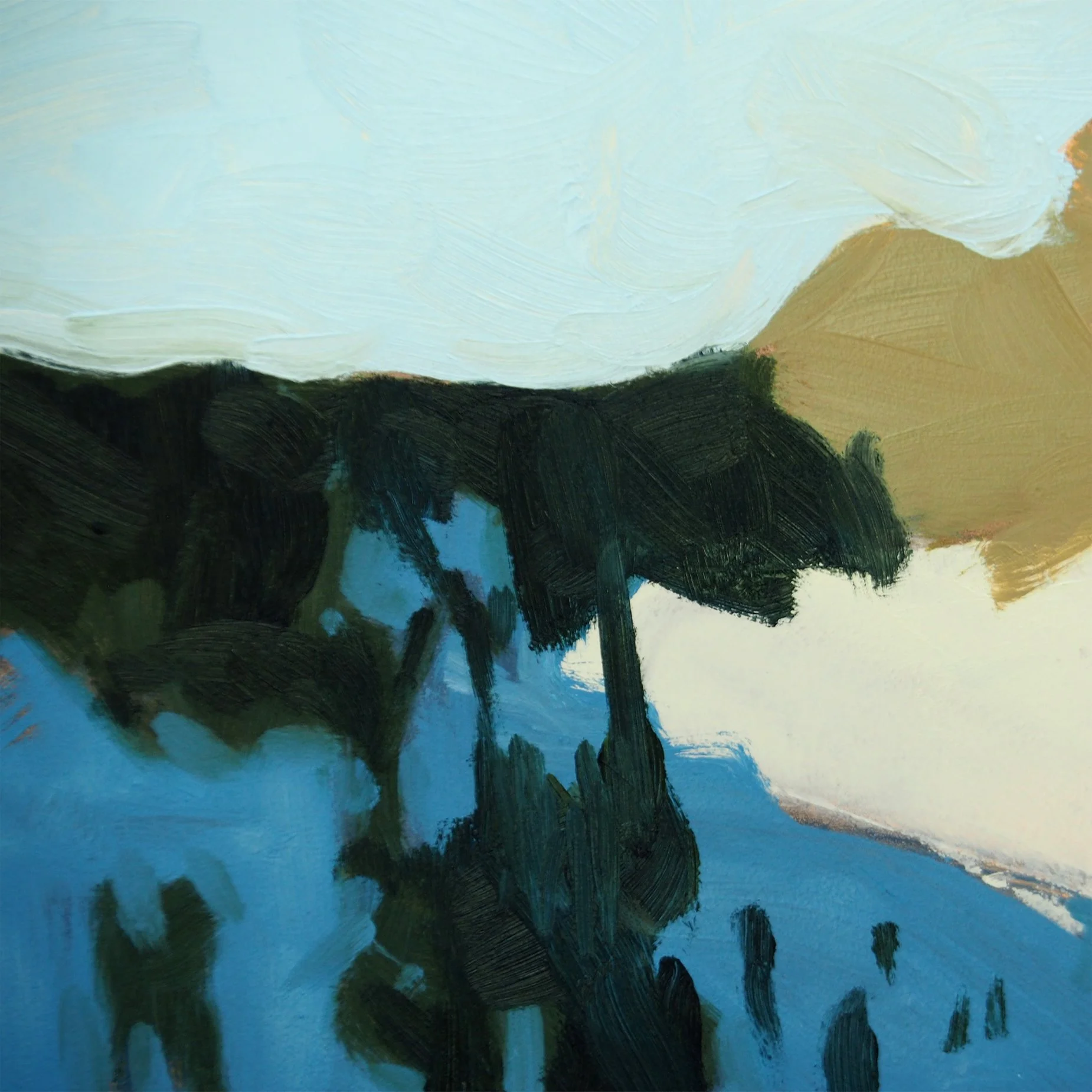 02.26.26 Crested Butte DET 2.jpg