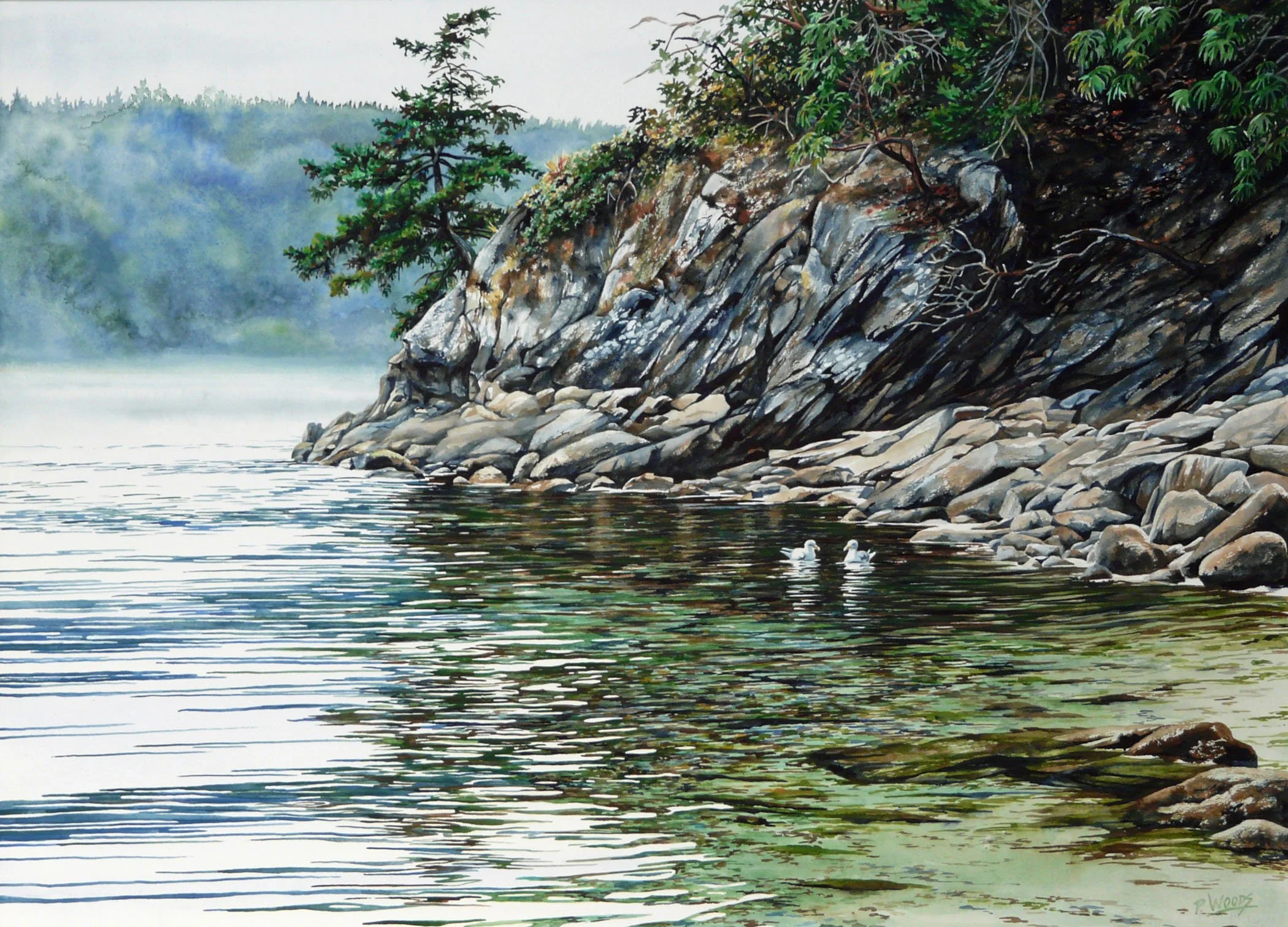 Gull Talk  (Sold)